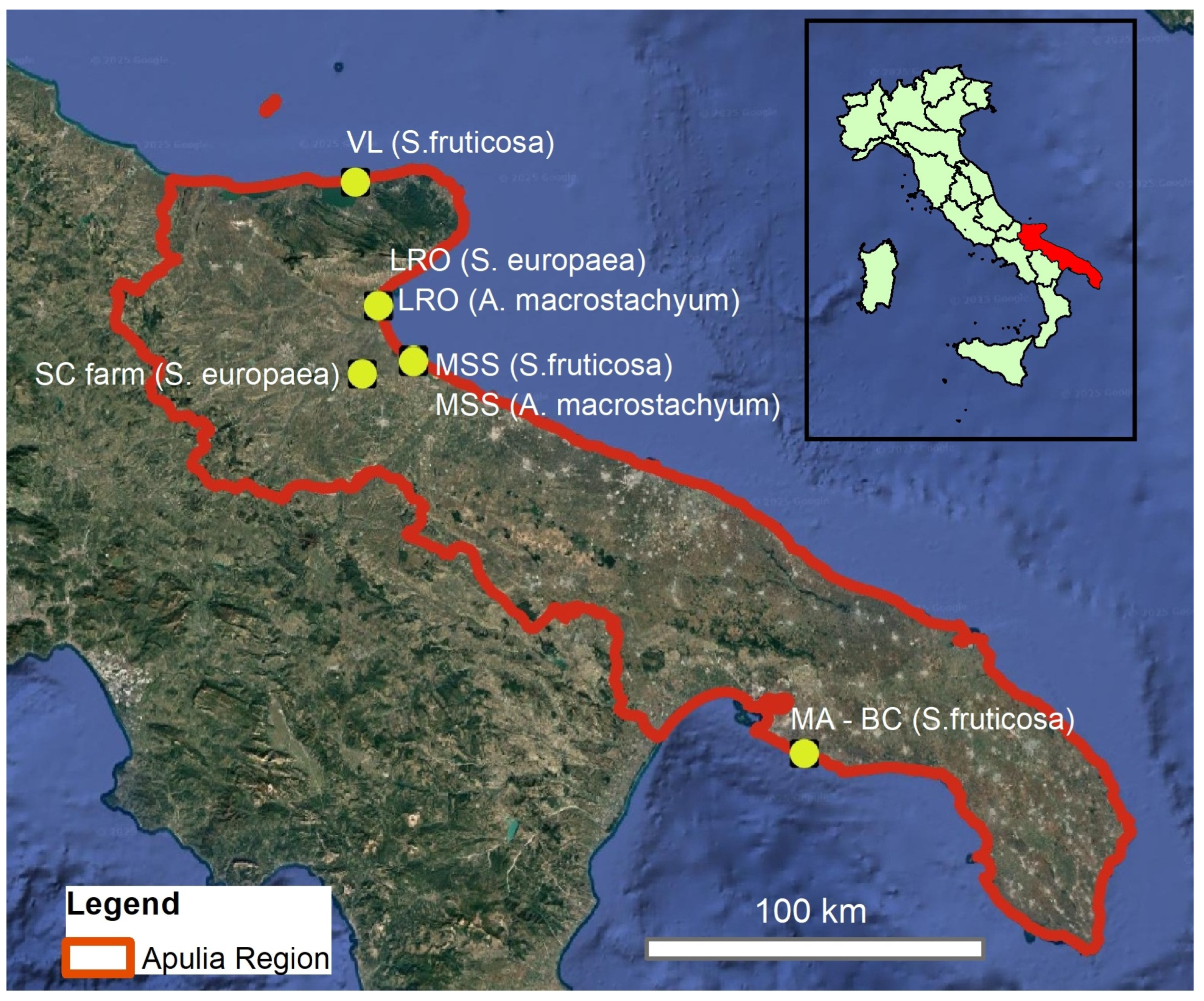 Preprints 174541 g001