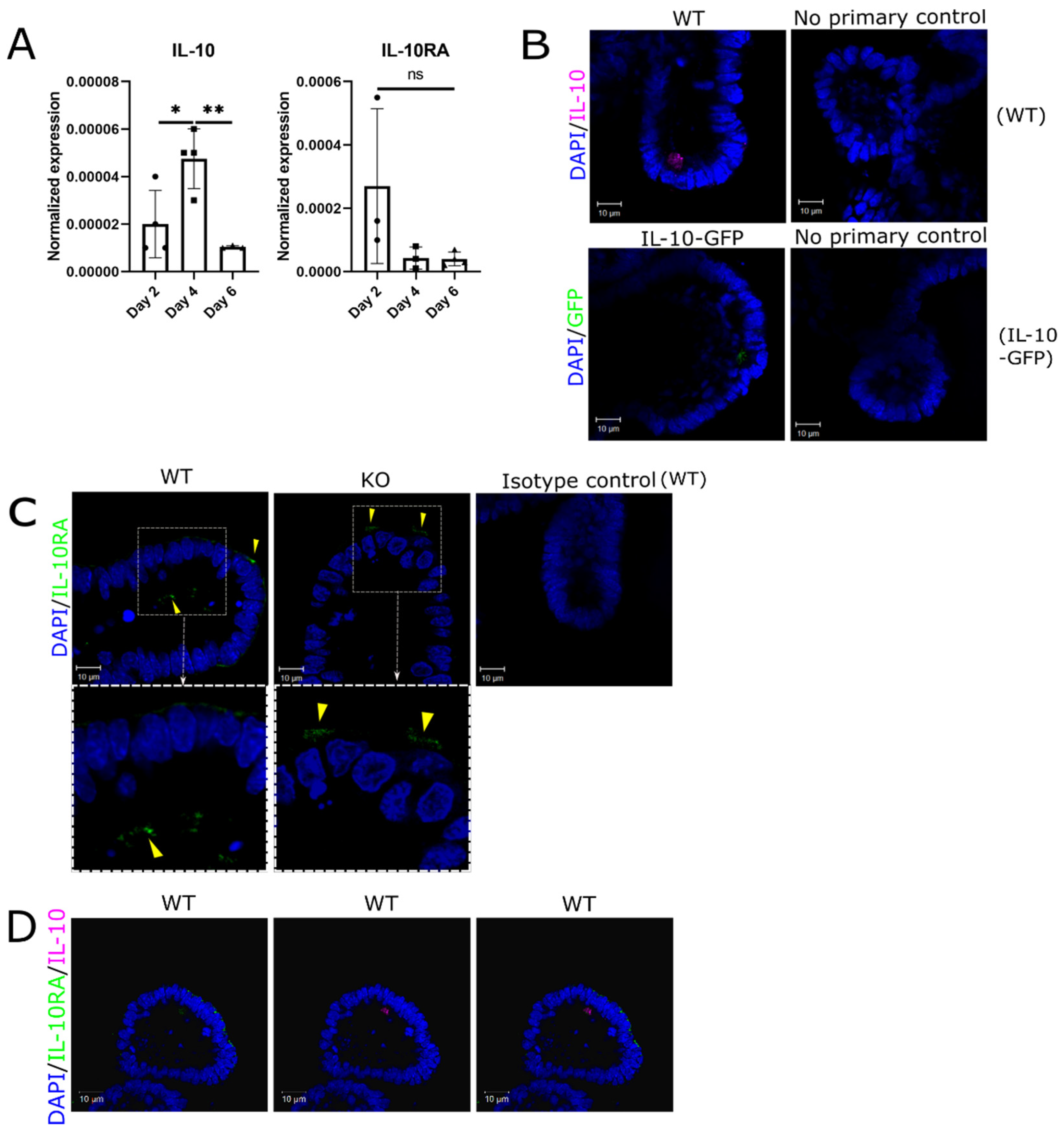Preprints 140241 g001