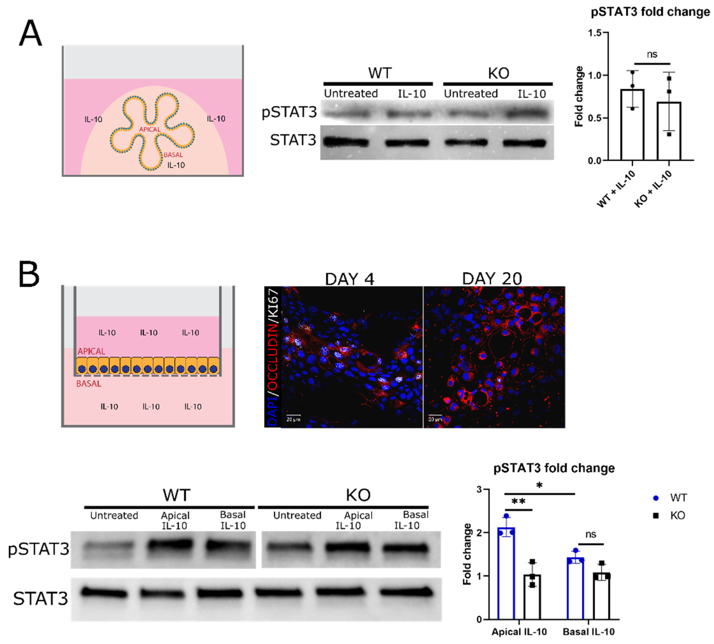 Preprints 140241 g004