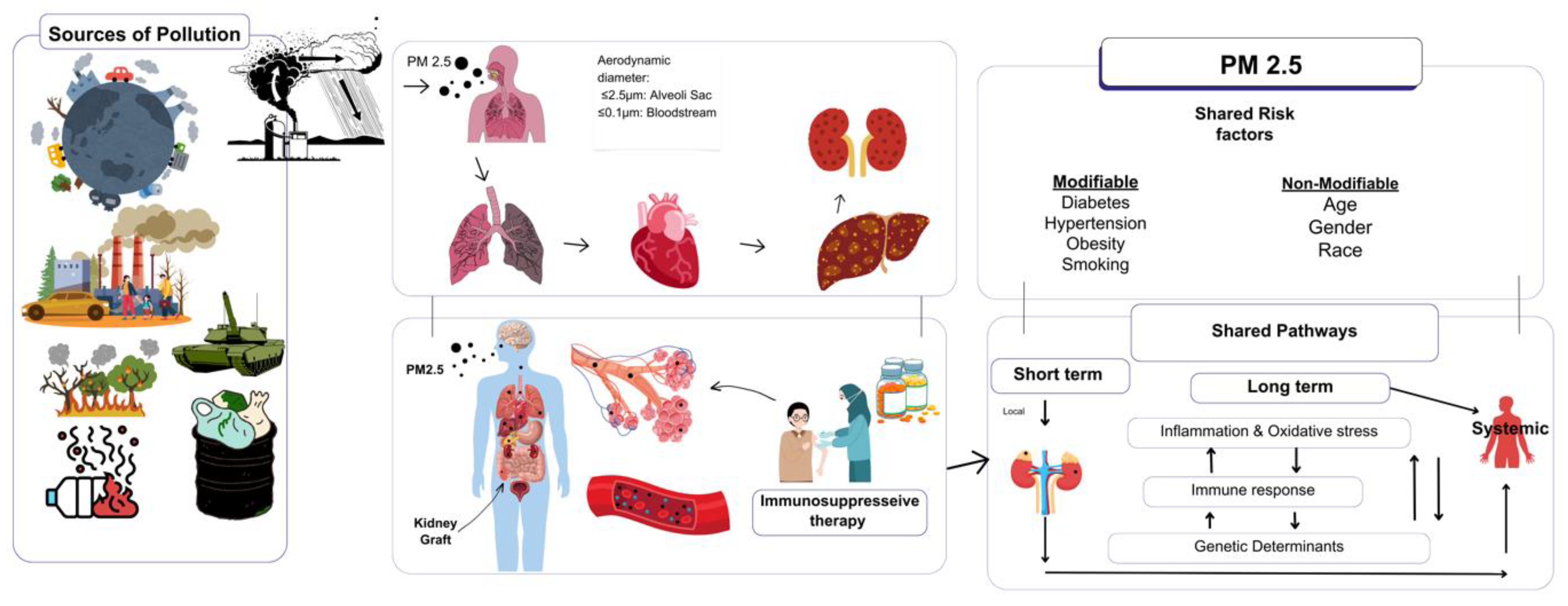 Preprints 150467 g001