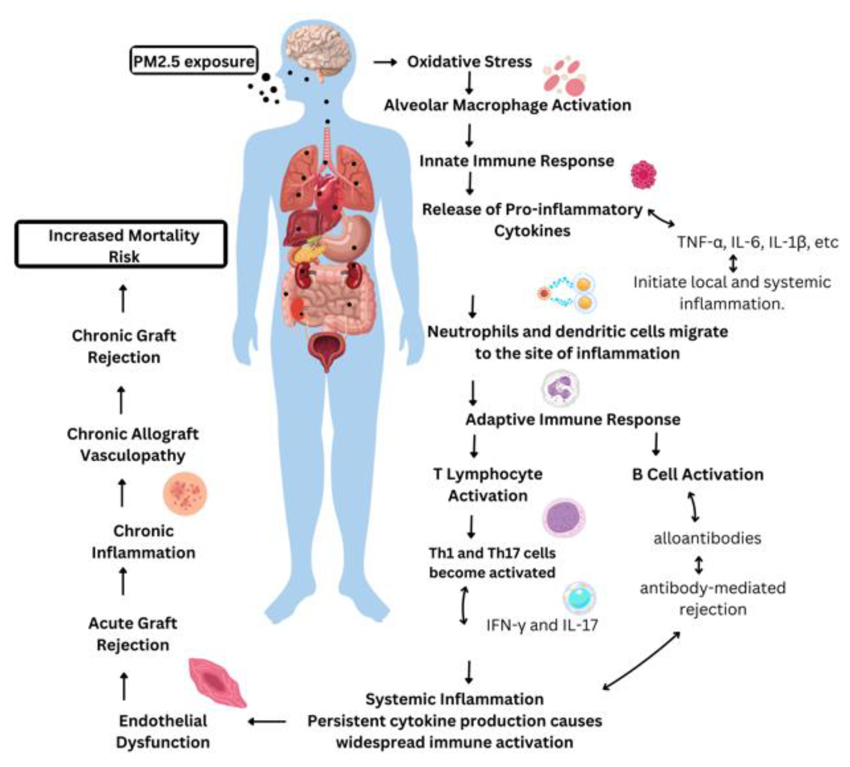 Preprints 150467 g002