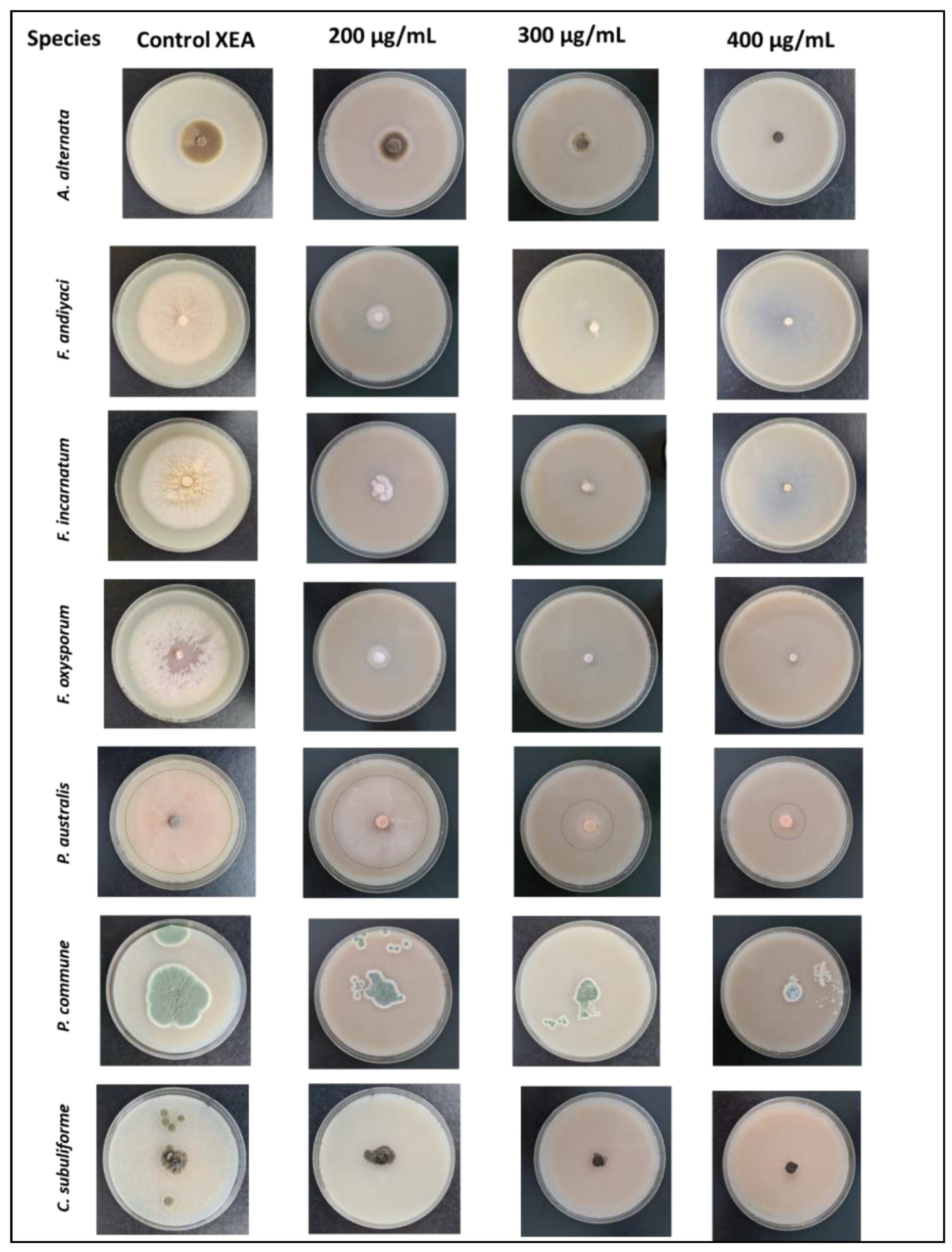 Preprints 143418 g001