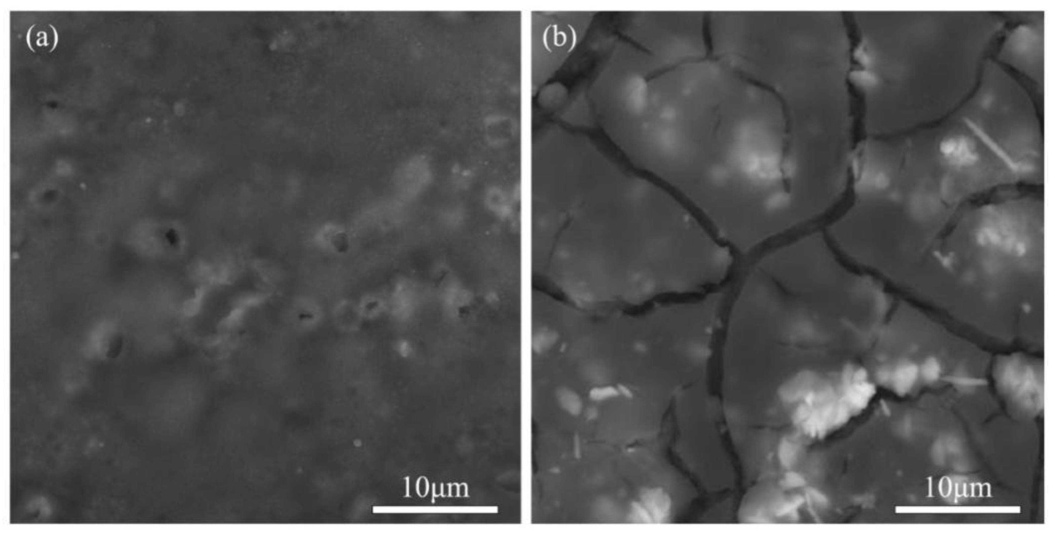 Preprints 213236 g006