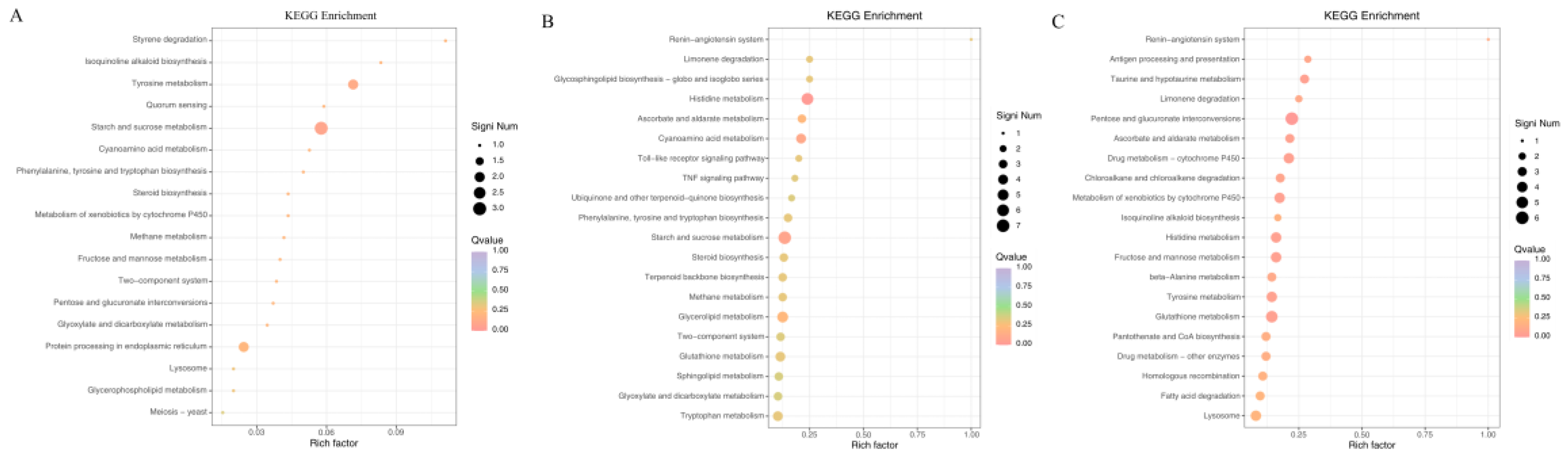 Preprints 209314 g006