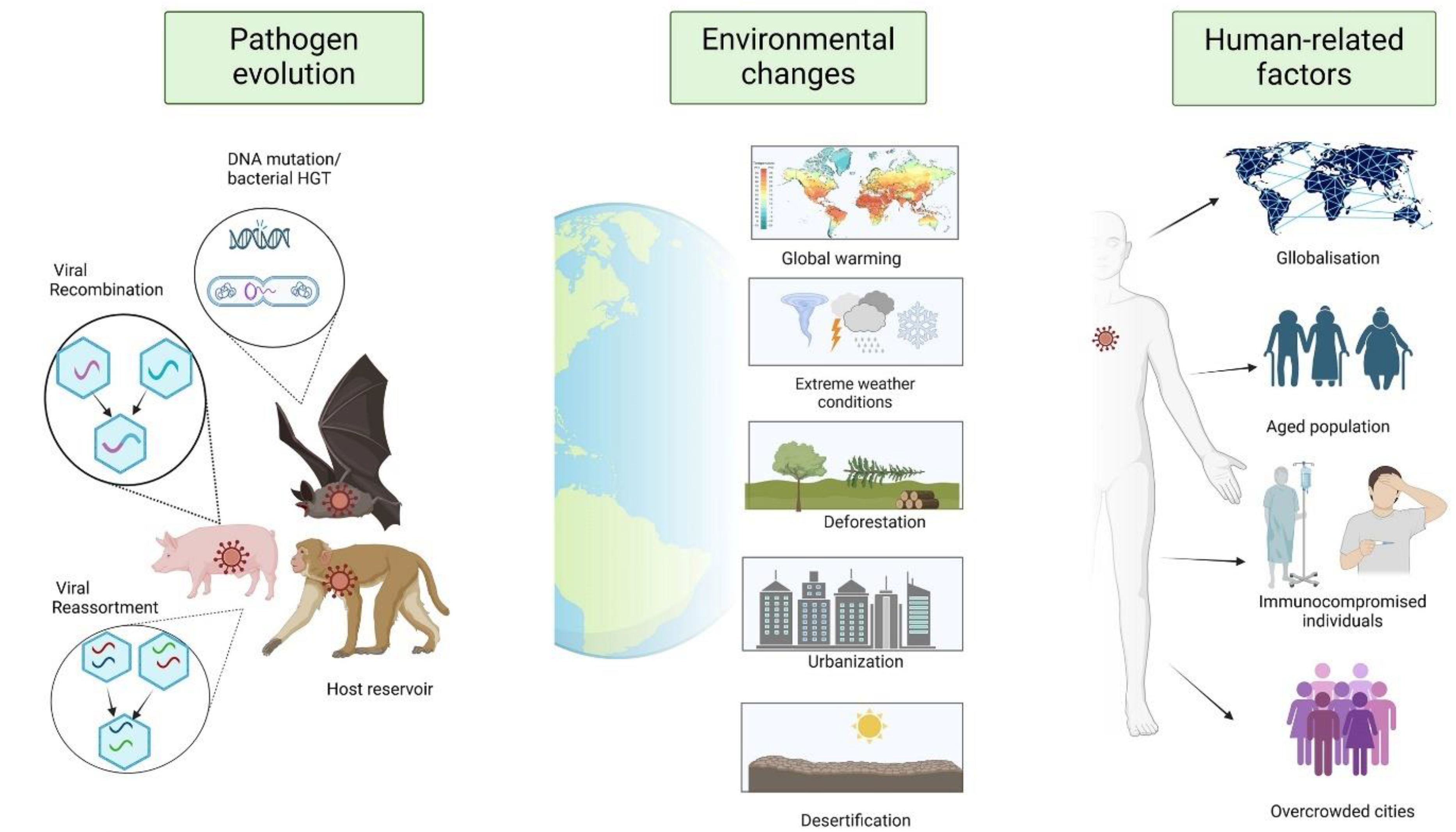 Preprints 147148 g001