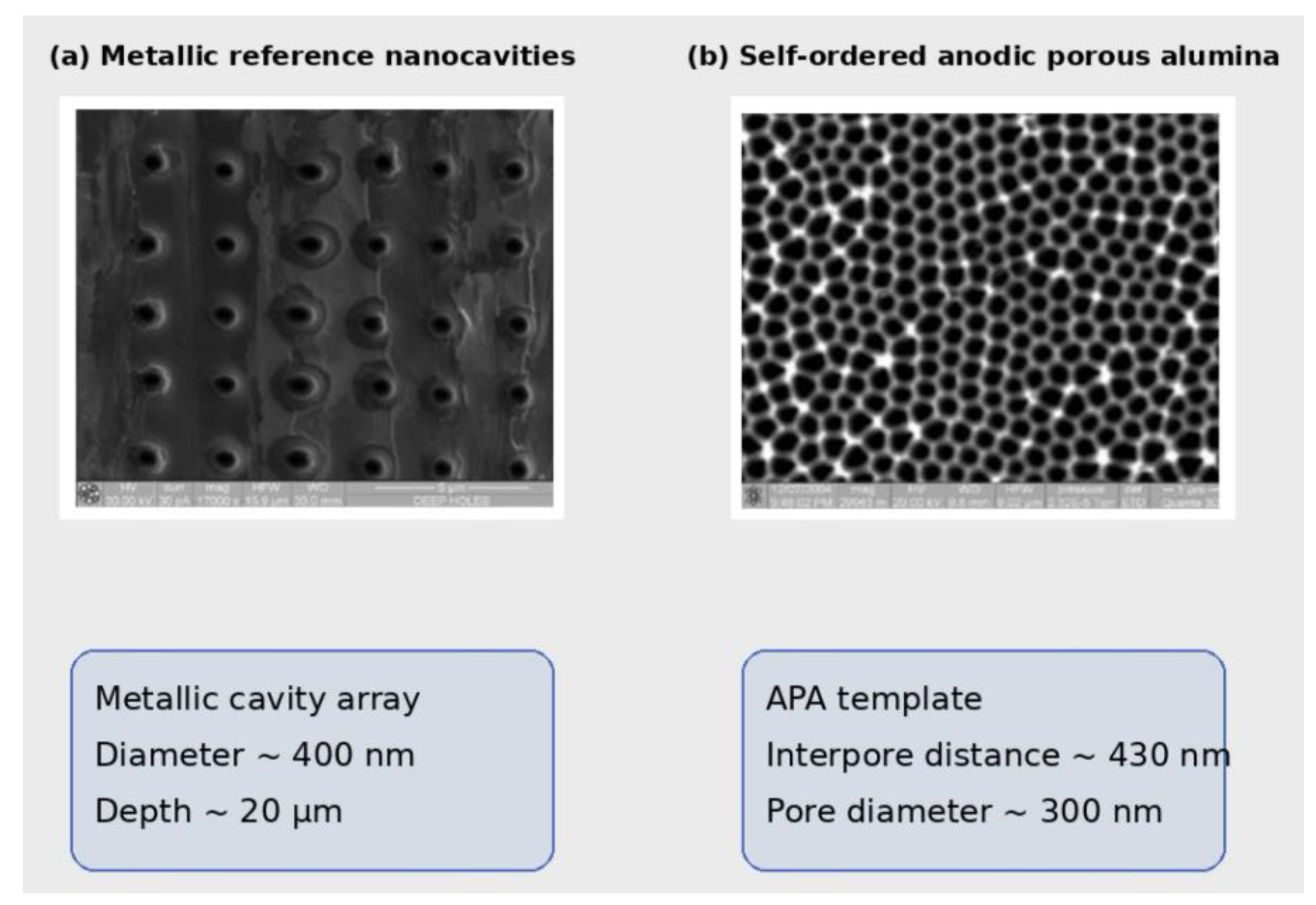 Preprints 211512 g003