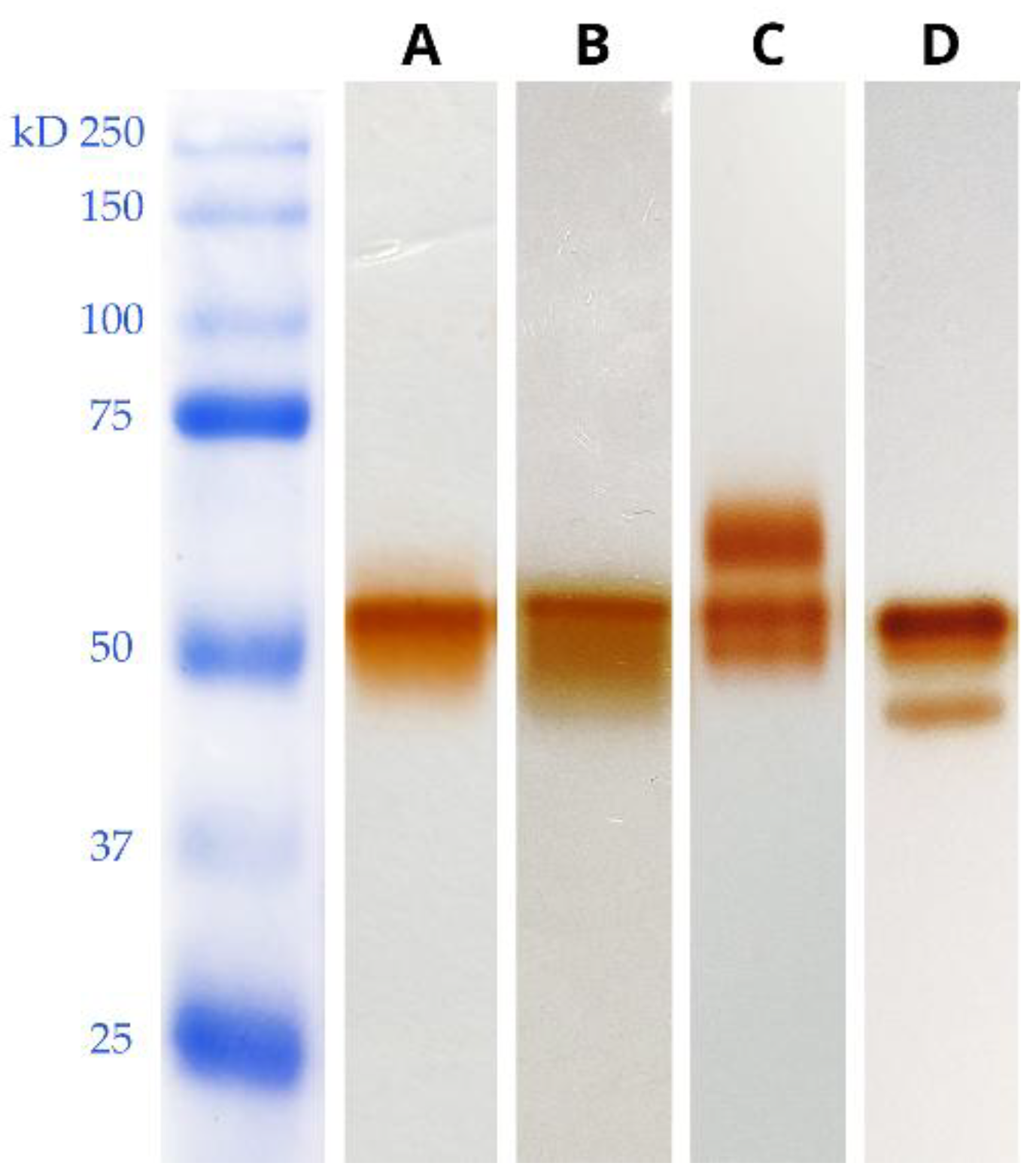 Preprints 185807 g001