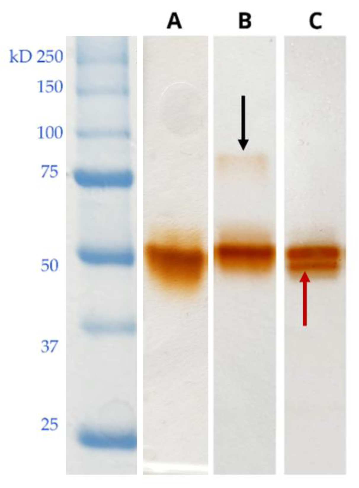 Preprints 185807 g006