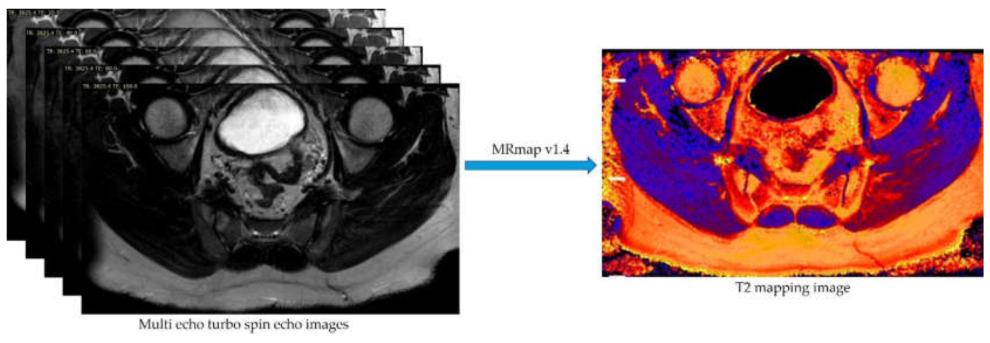 Preprints 161918 g001