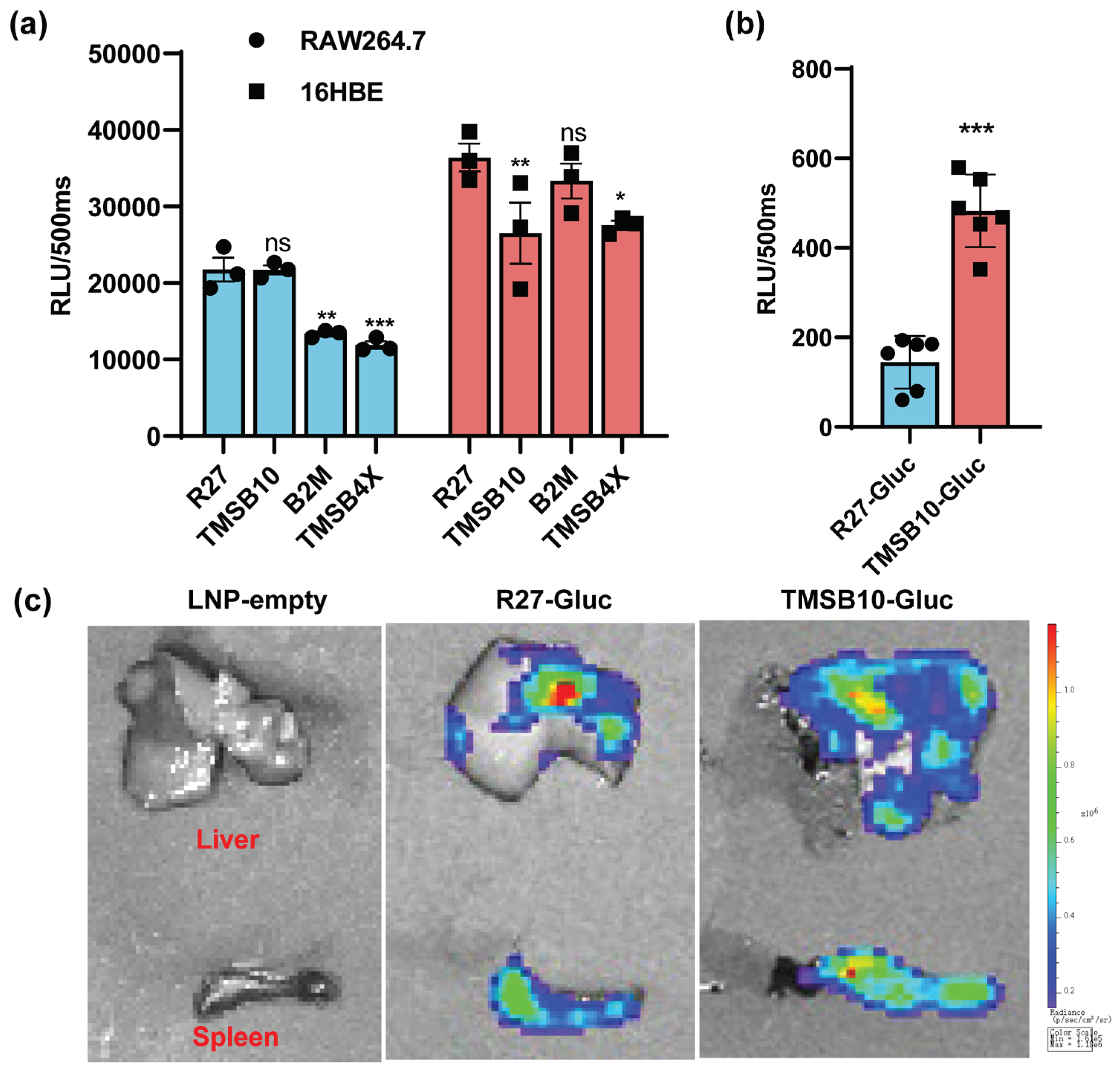 Preprints 100530 g003