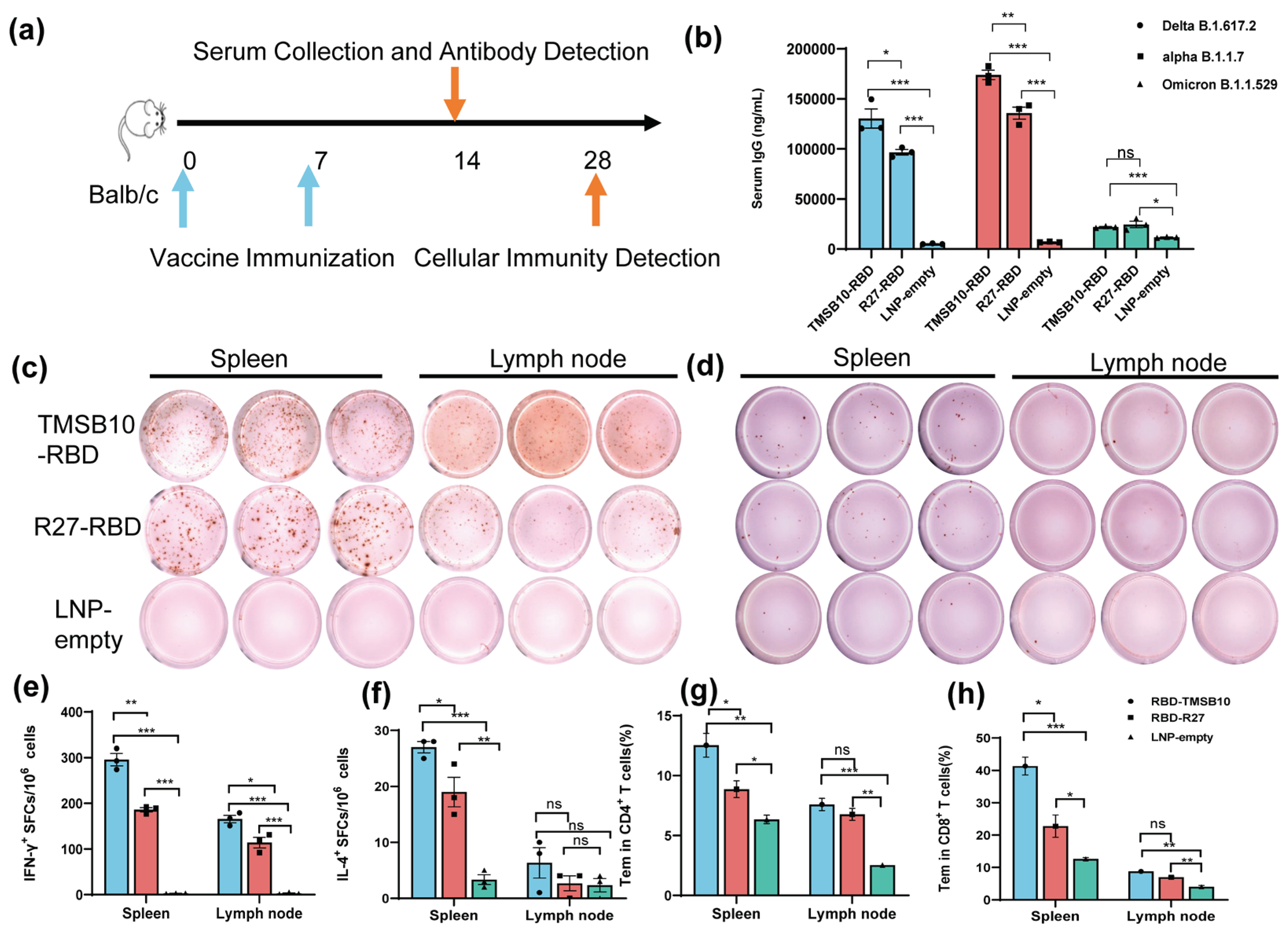 Preprints 100530 g004