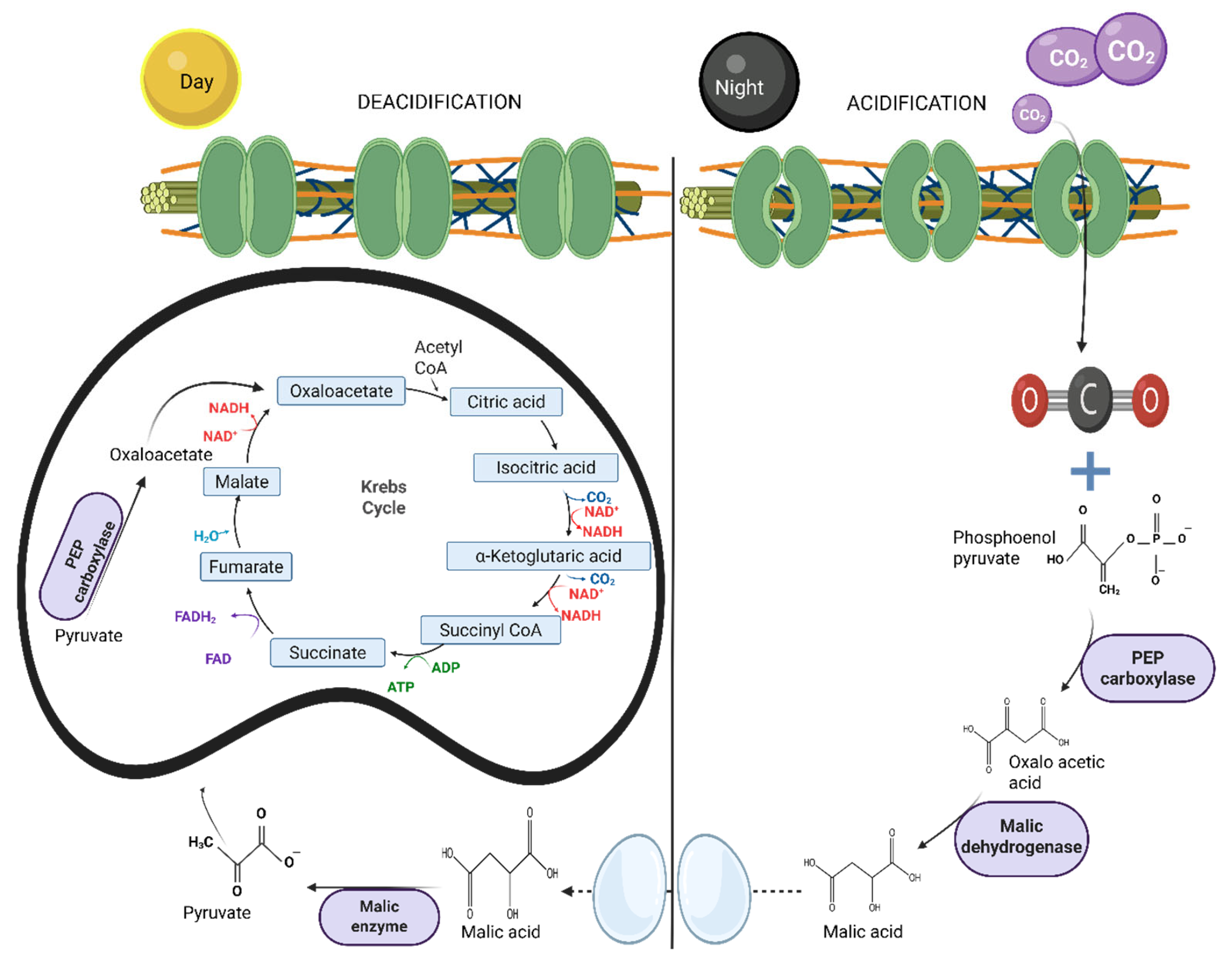 Preprints 195755 g003