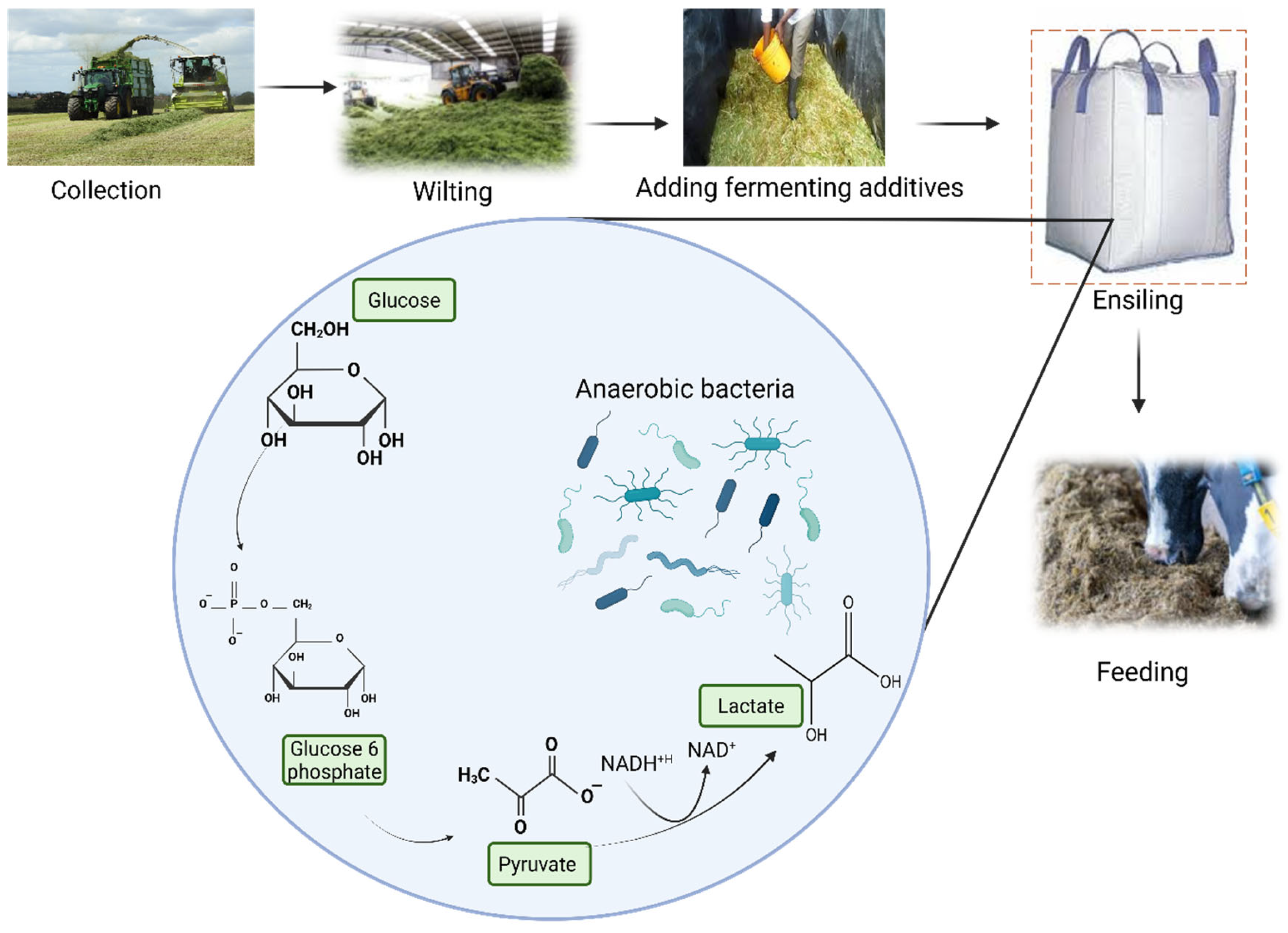 Preprints 195755 g006