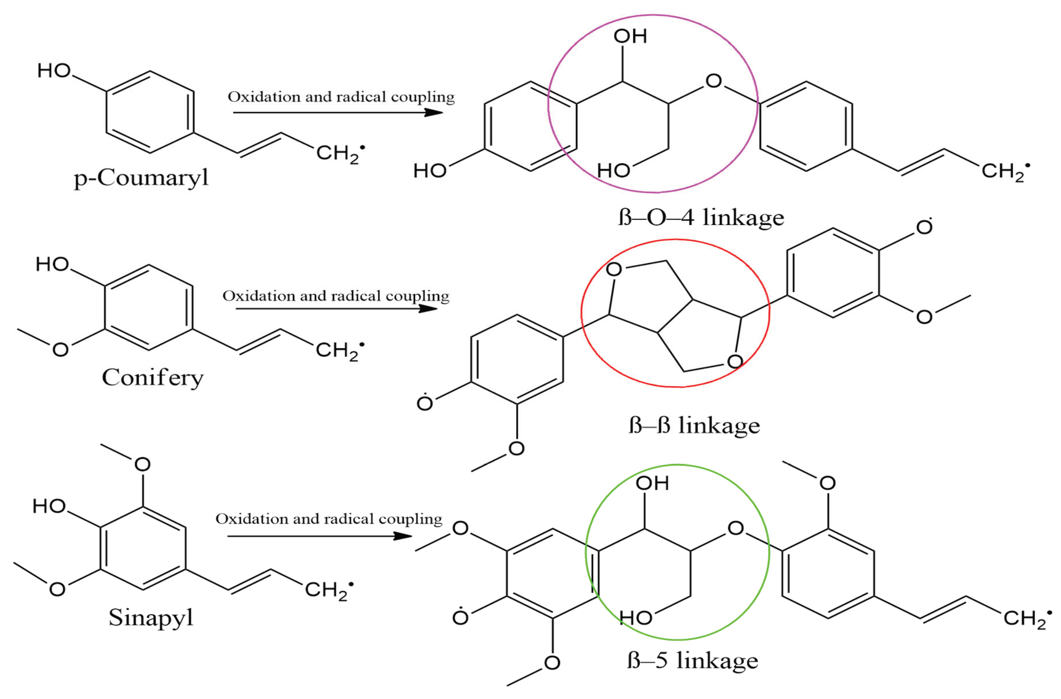 Preprints 195755 g007