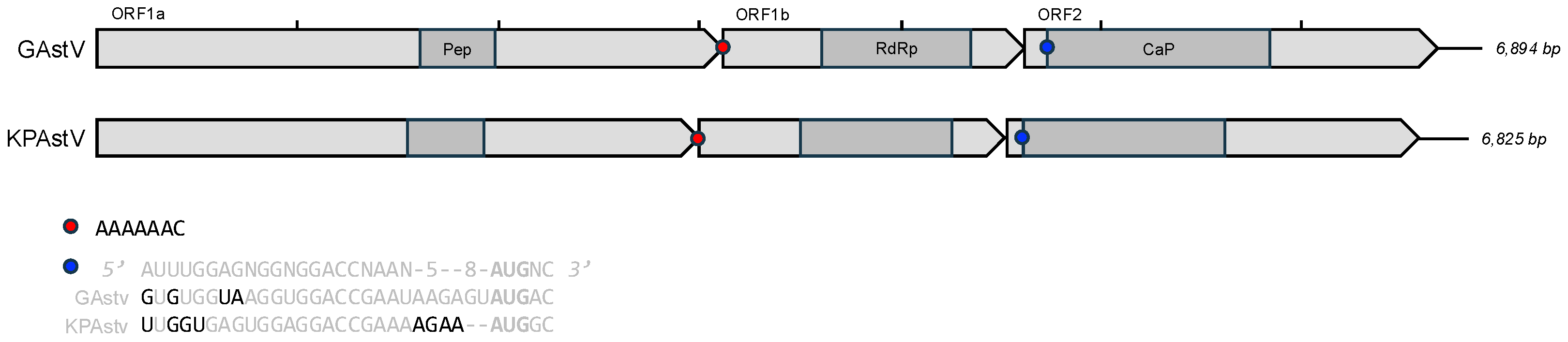 Preprints 148016 g001