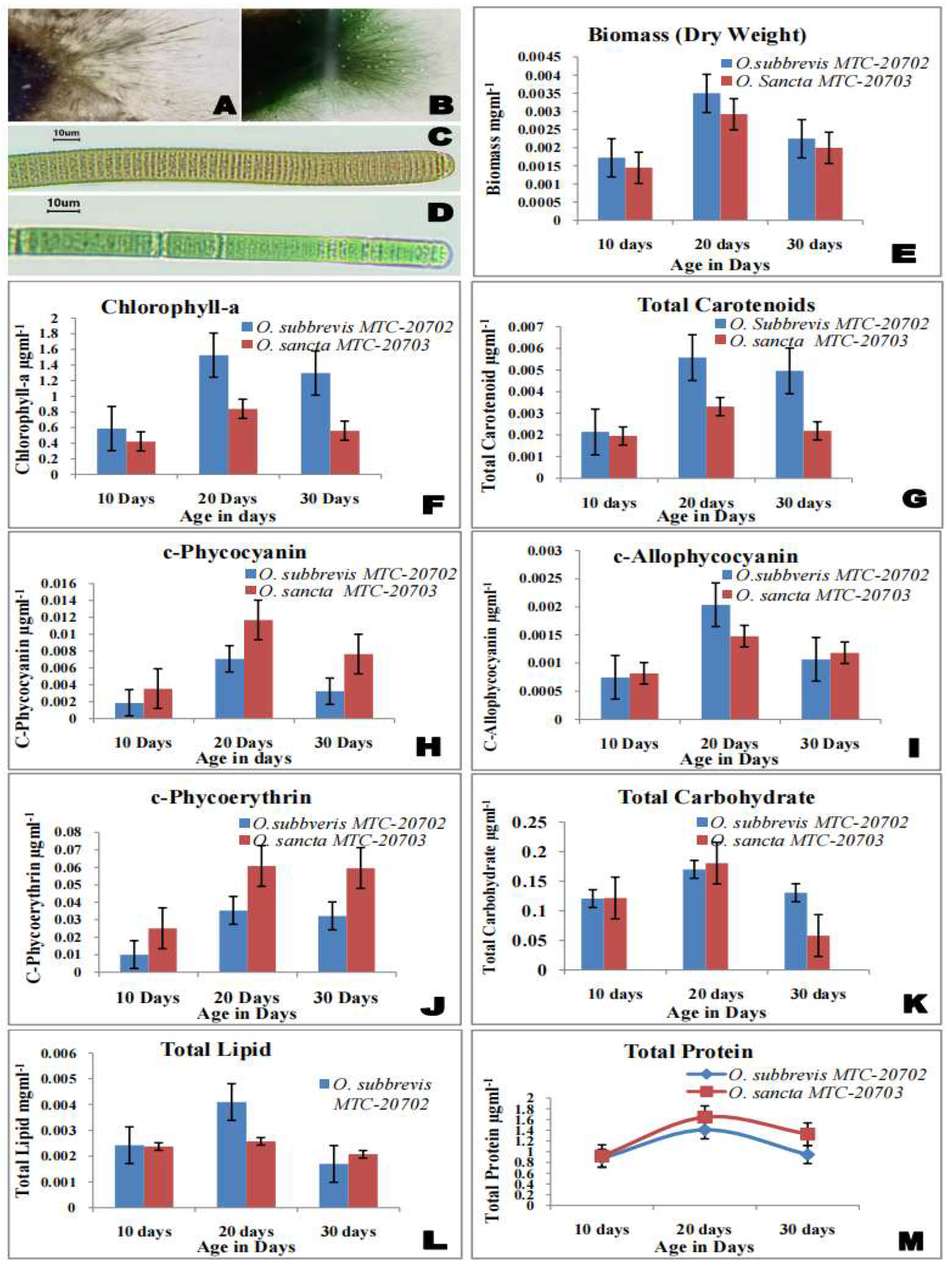Preprints 98415 g001