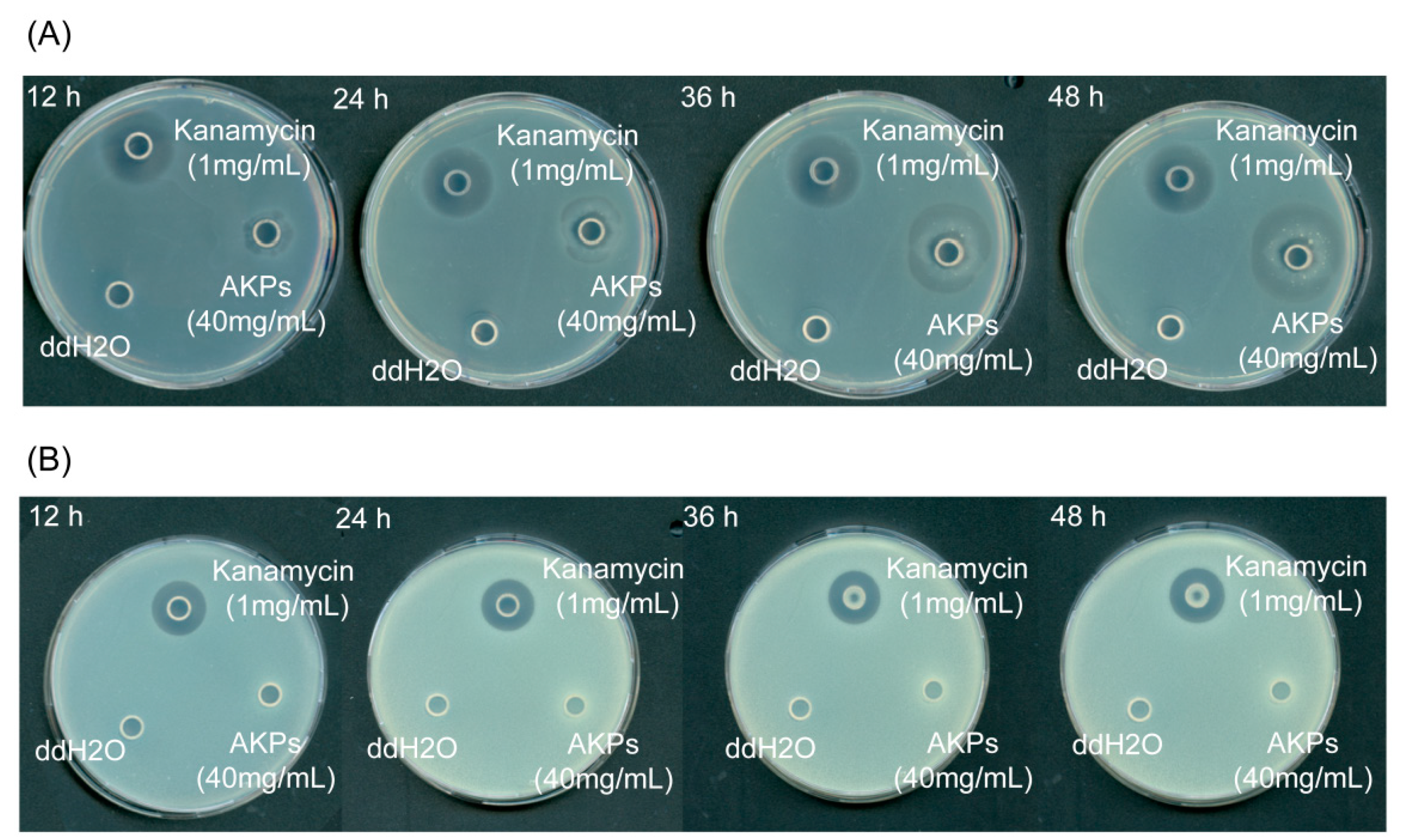 Preprints 157662 g008