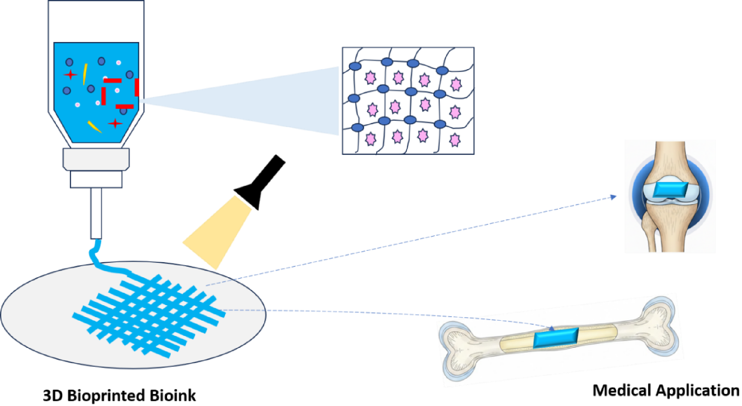 Preprints 200281 g001