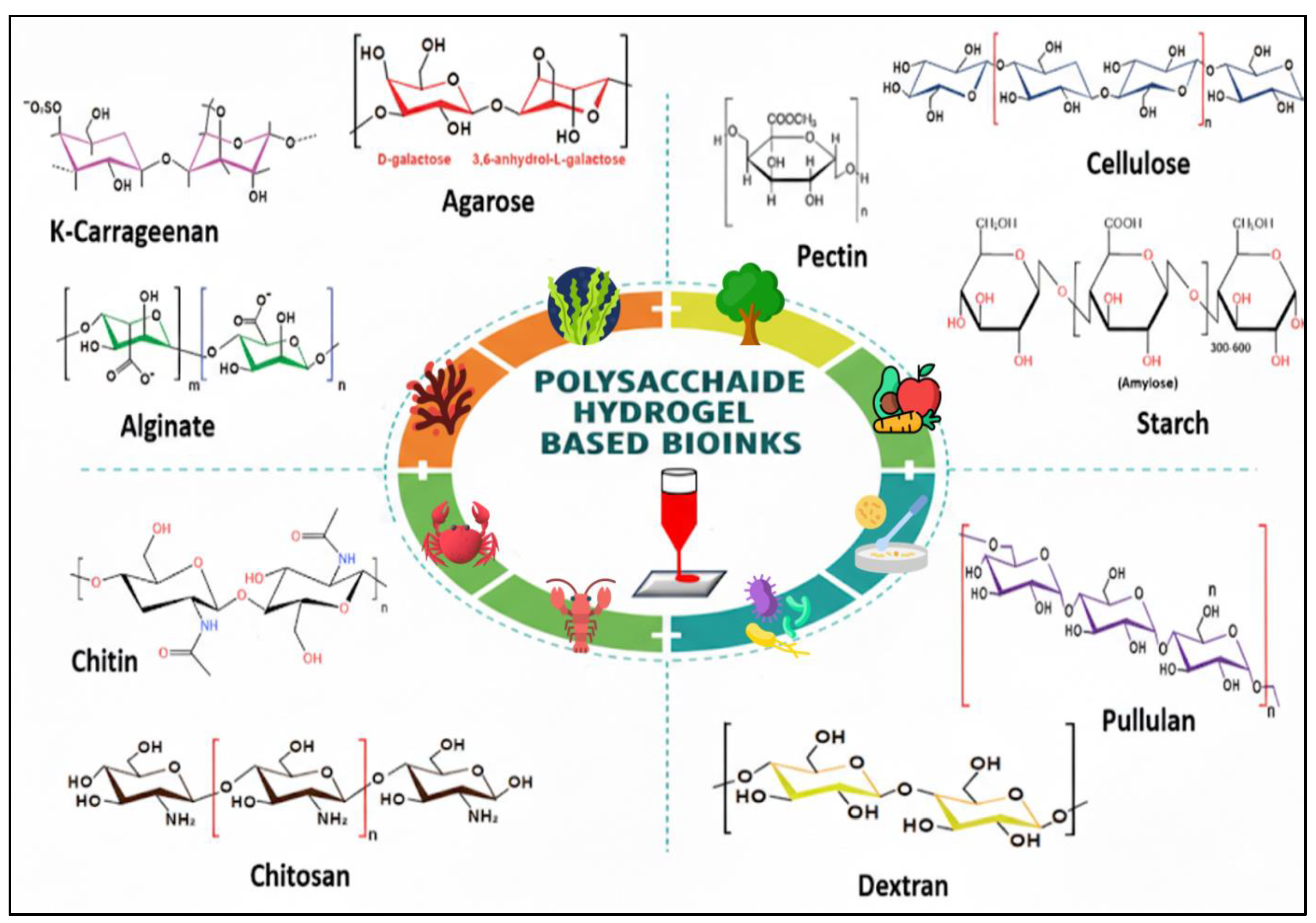 Preprints 200281 g002