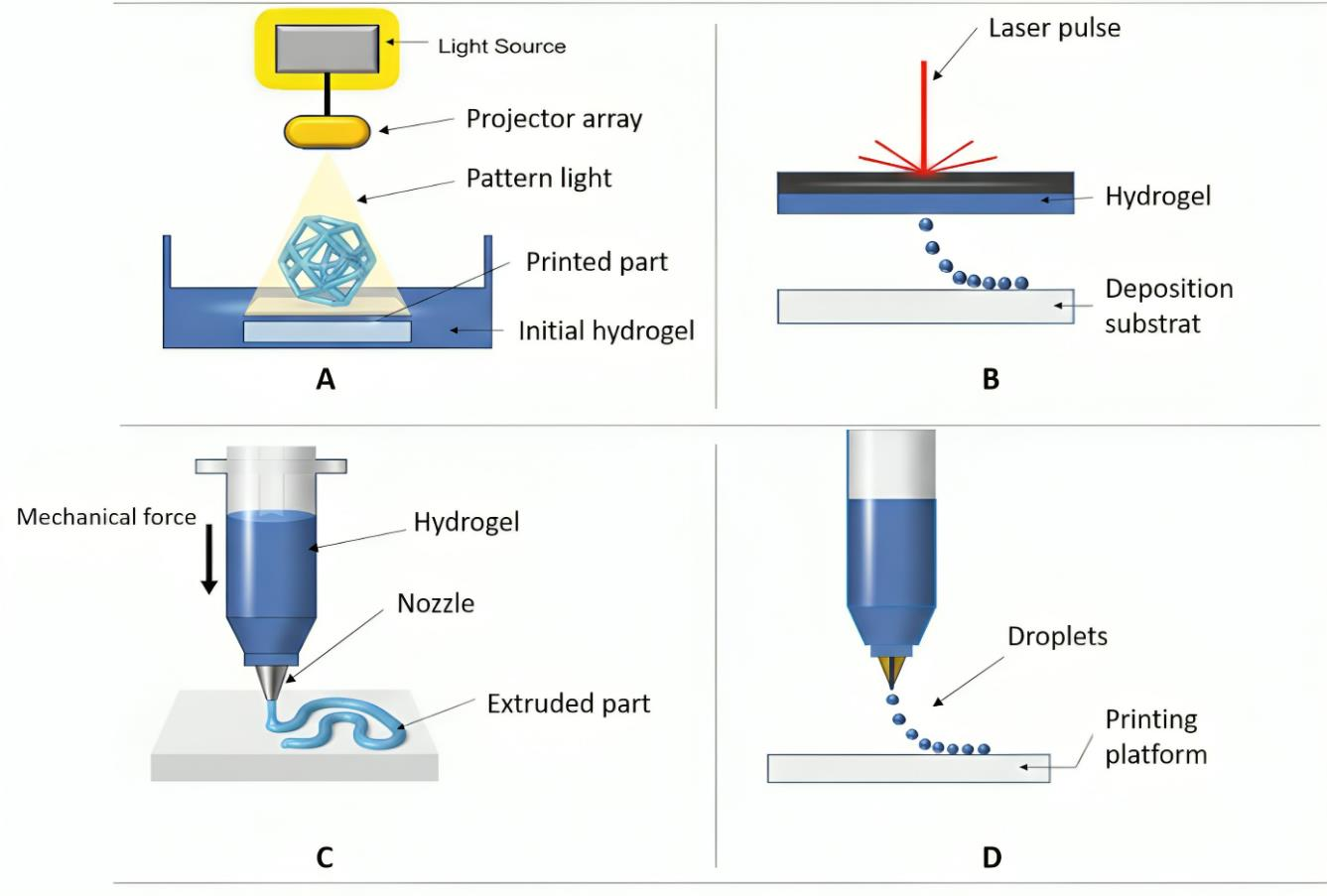Preprints 200281 g004