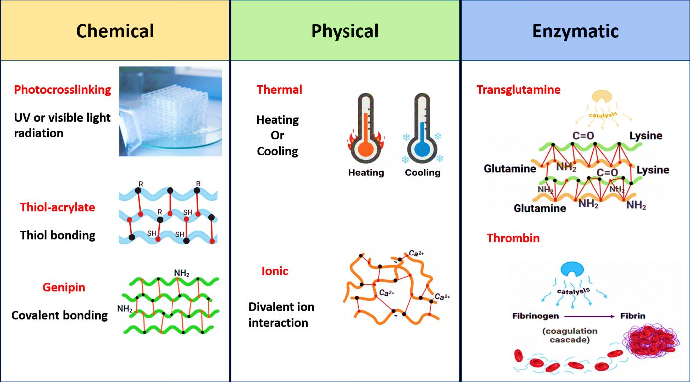 Preprints 200281 g007
