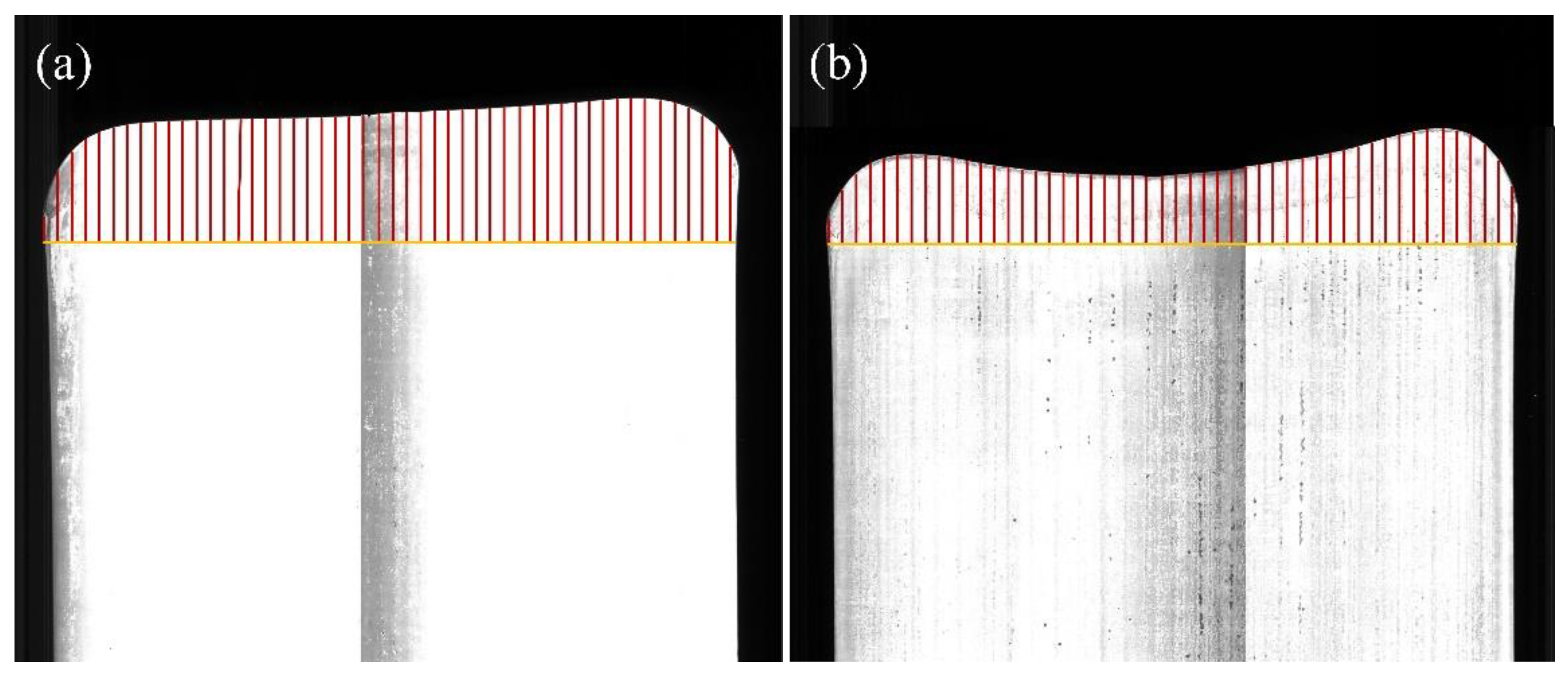 Preprints 161444 g016