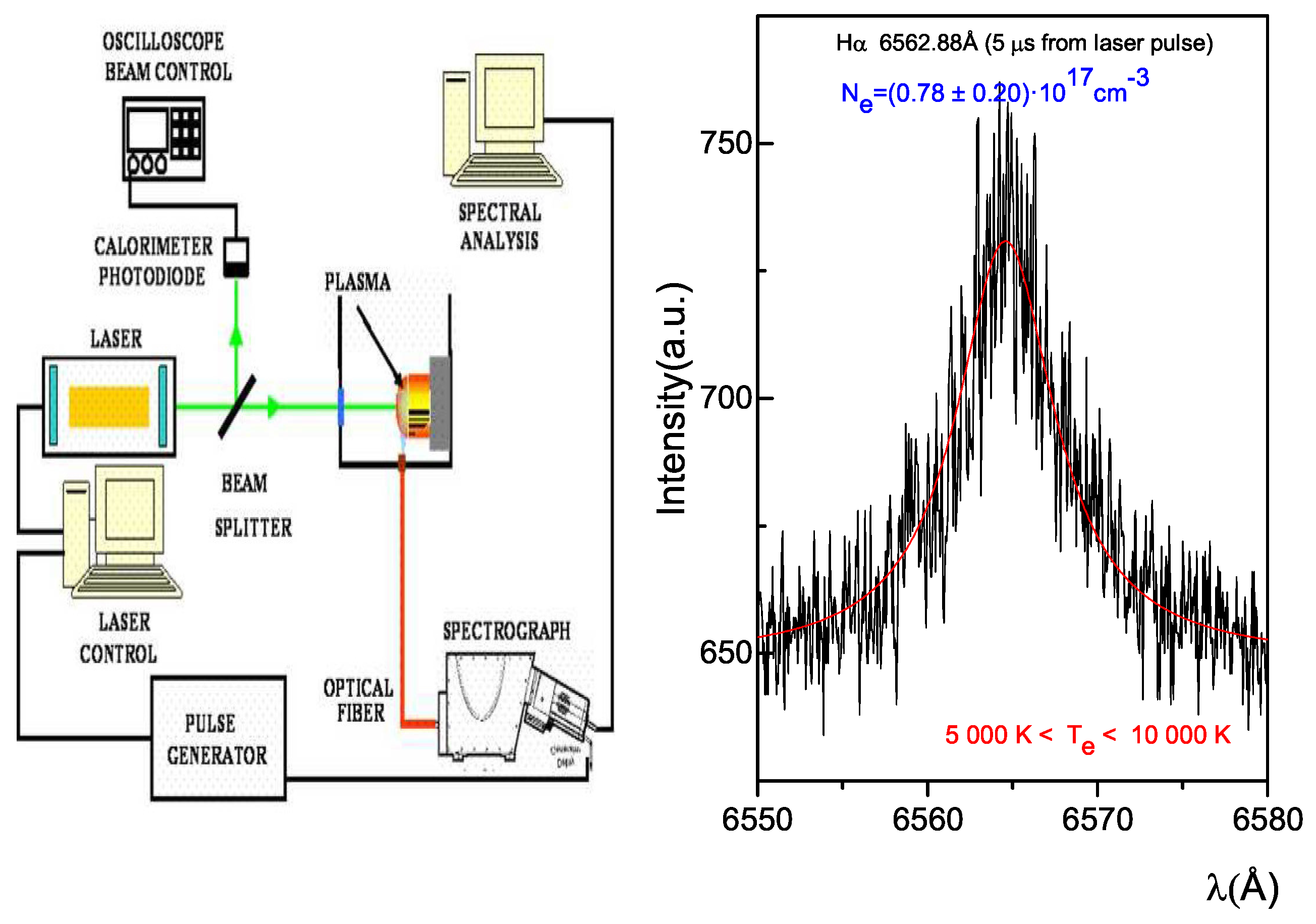 Preprints 199746 g001