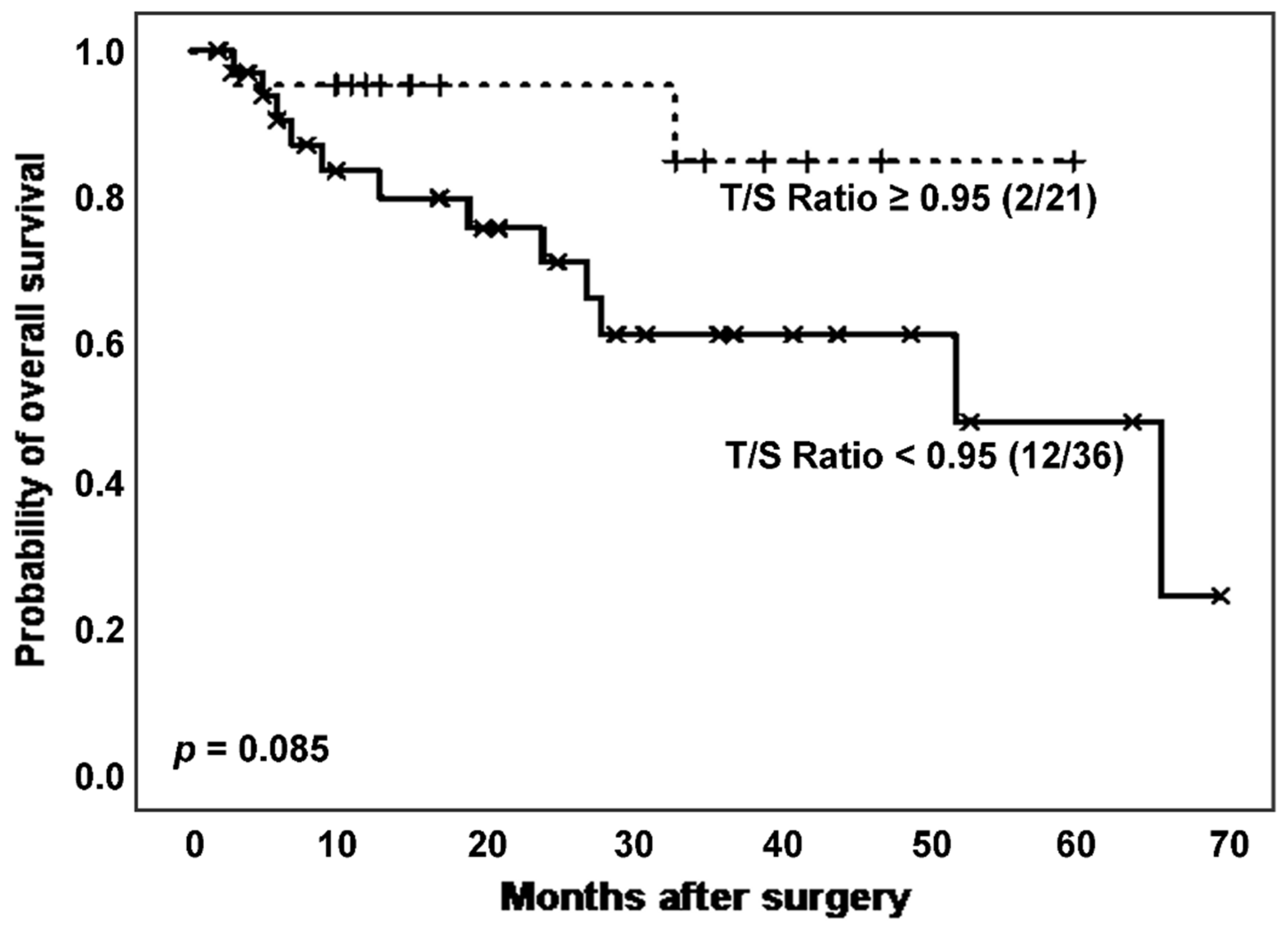 Preprints 91195 g003