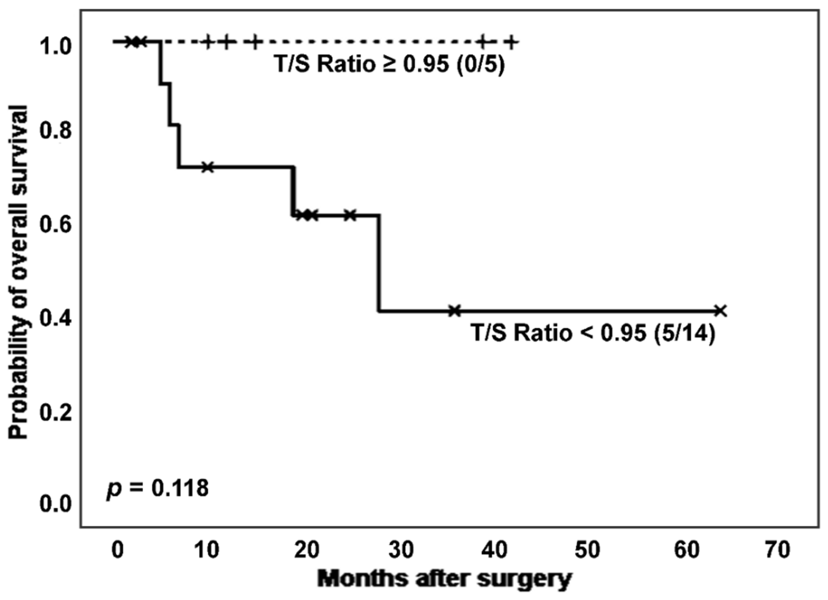 Preprints 91195 g005