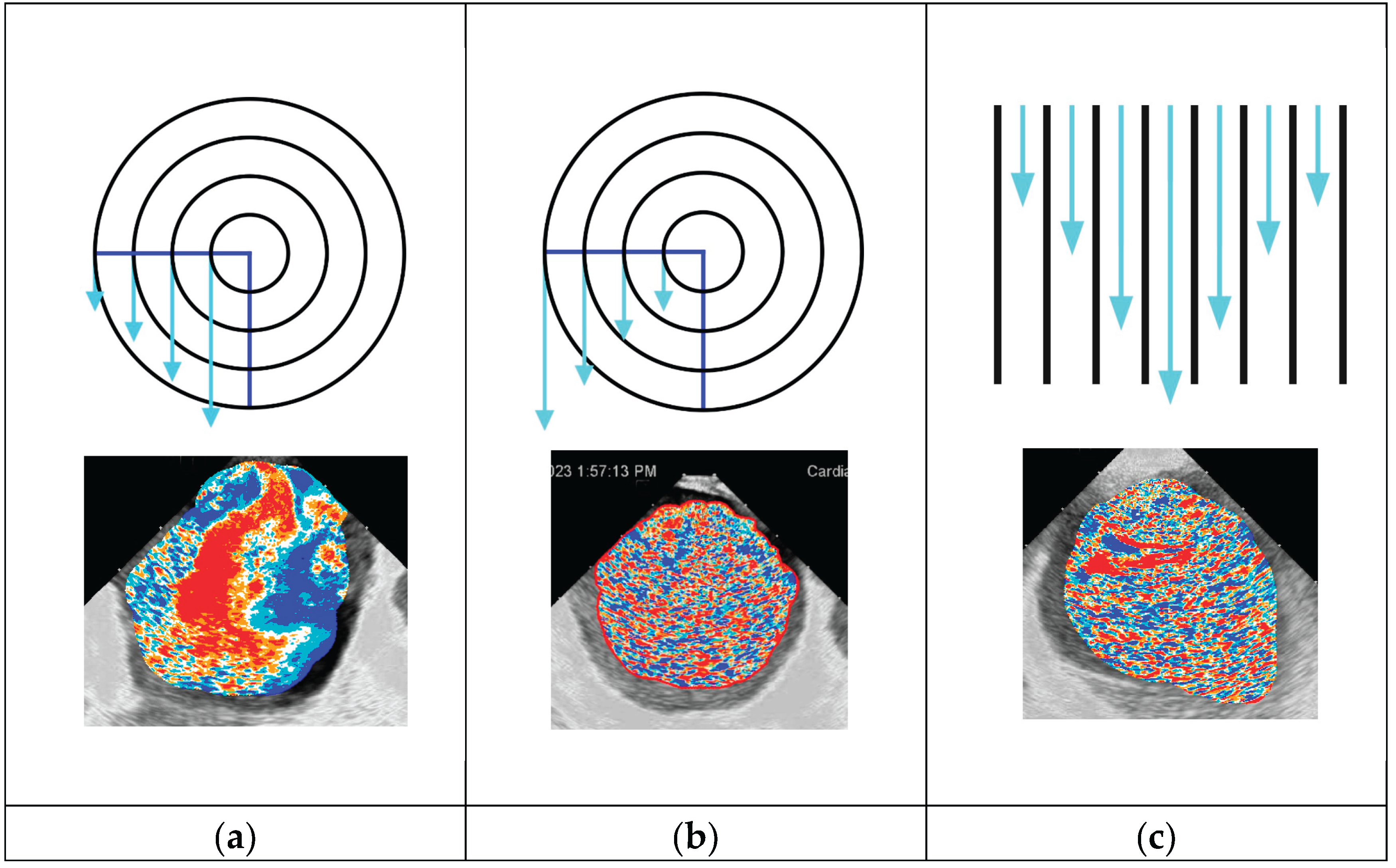 Preprints 202594 g004