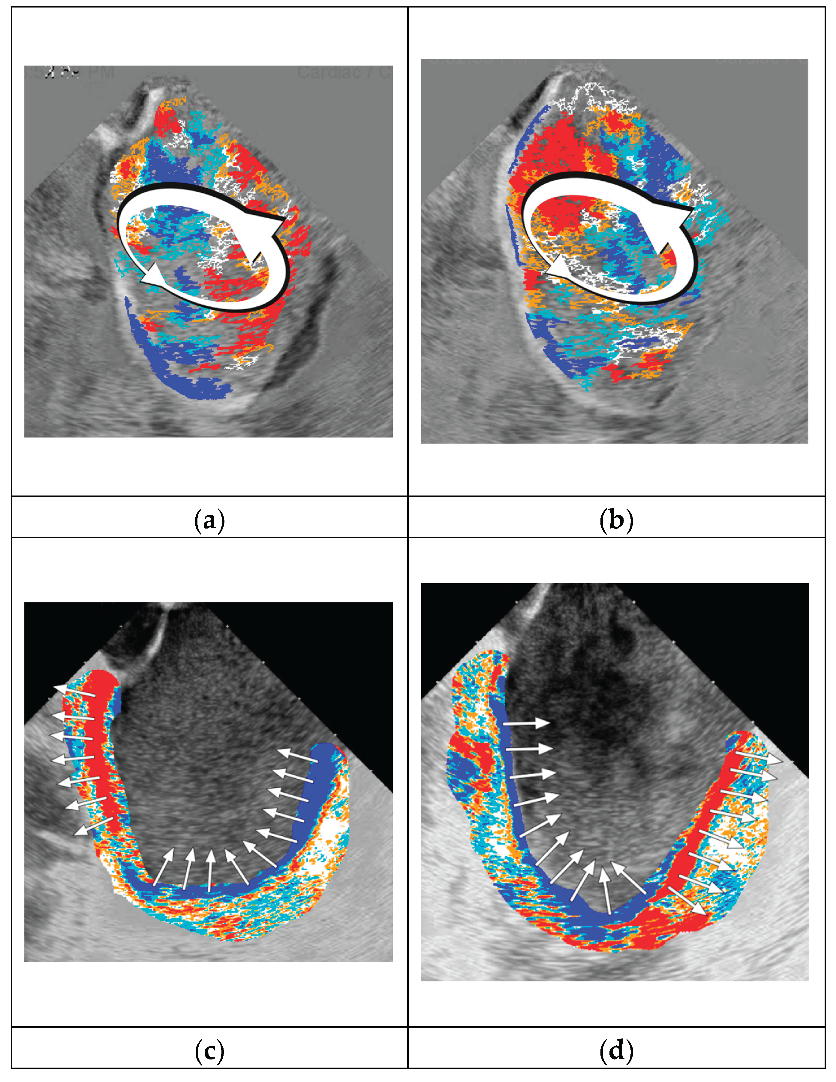 Preprints 202594 g005