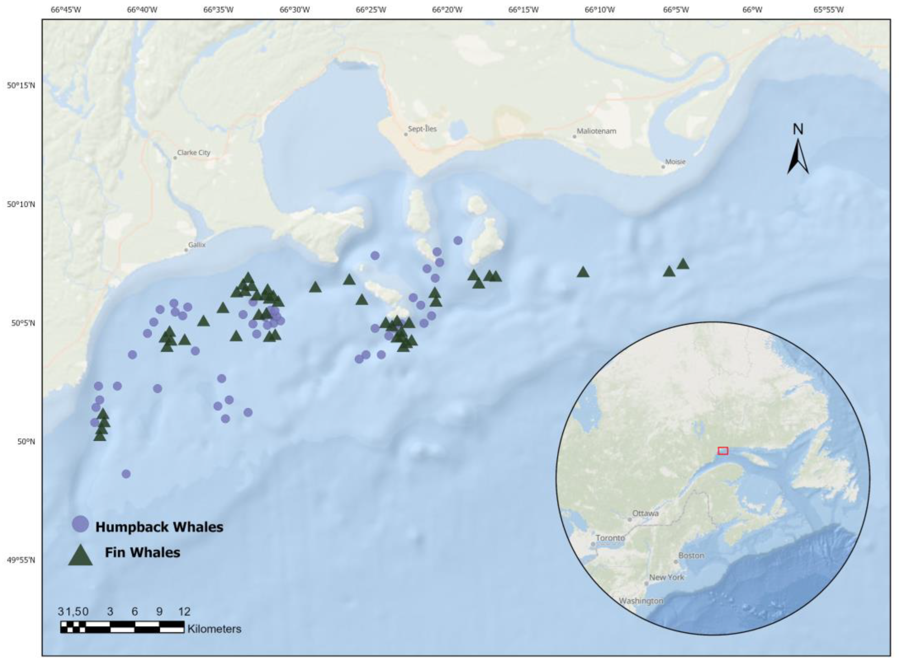 Preprints 118918 g001