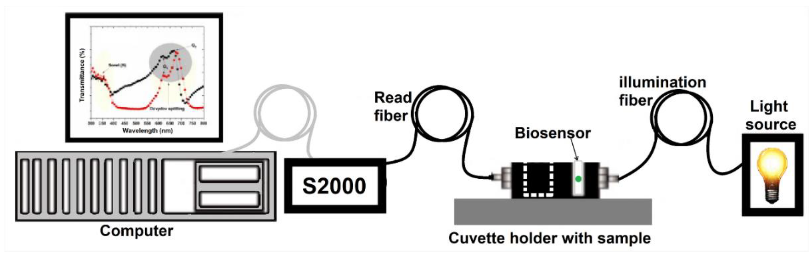 Preprints 150840 g001