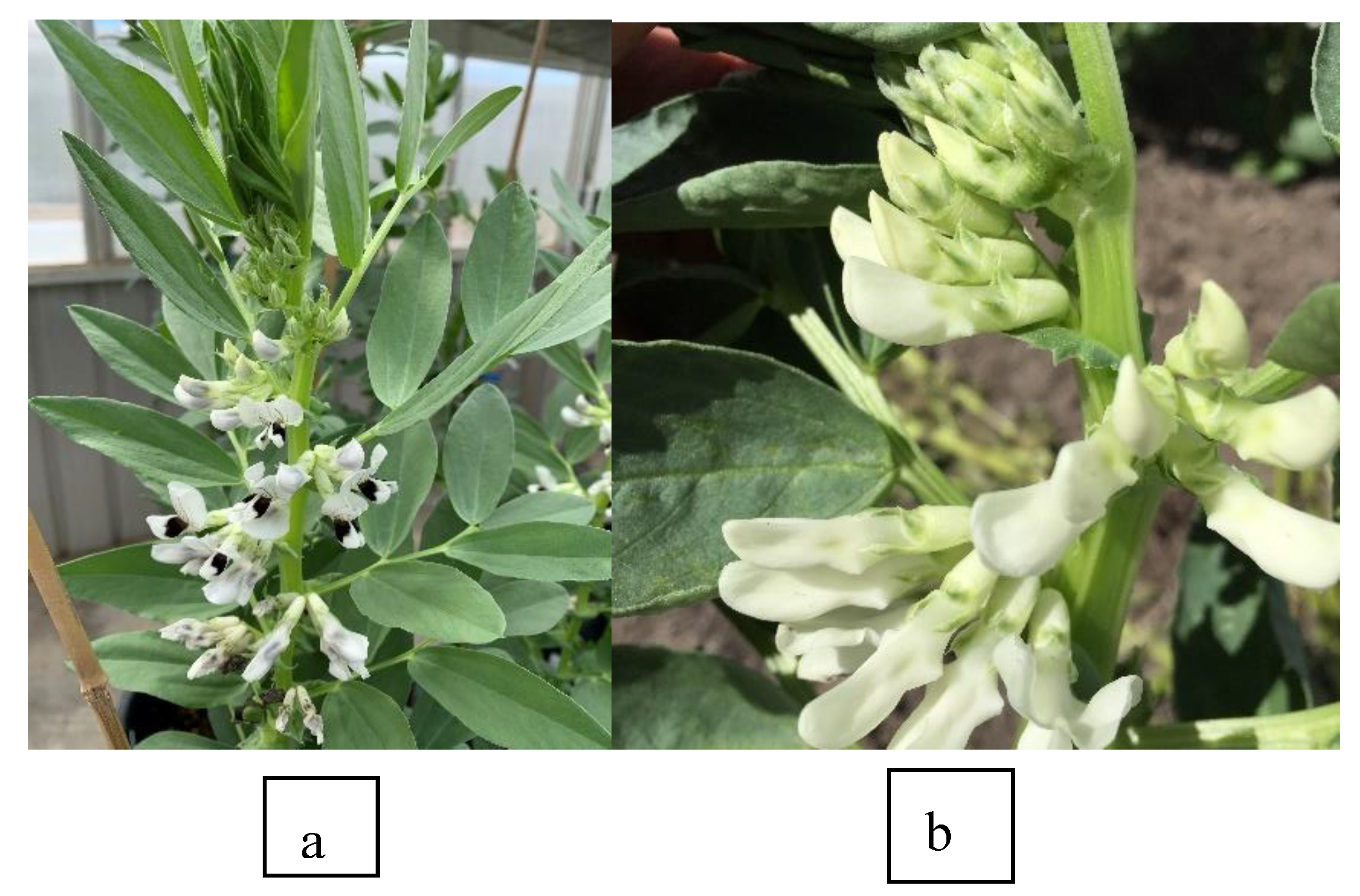 Preprints 75783 g002