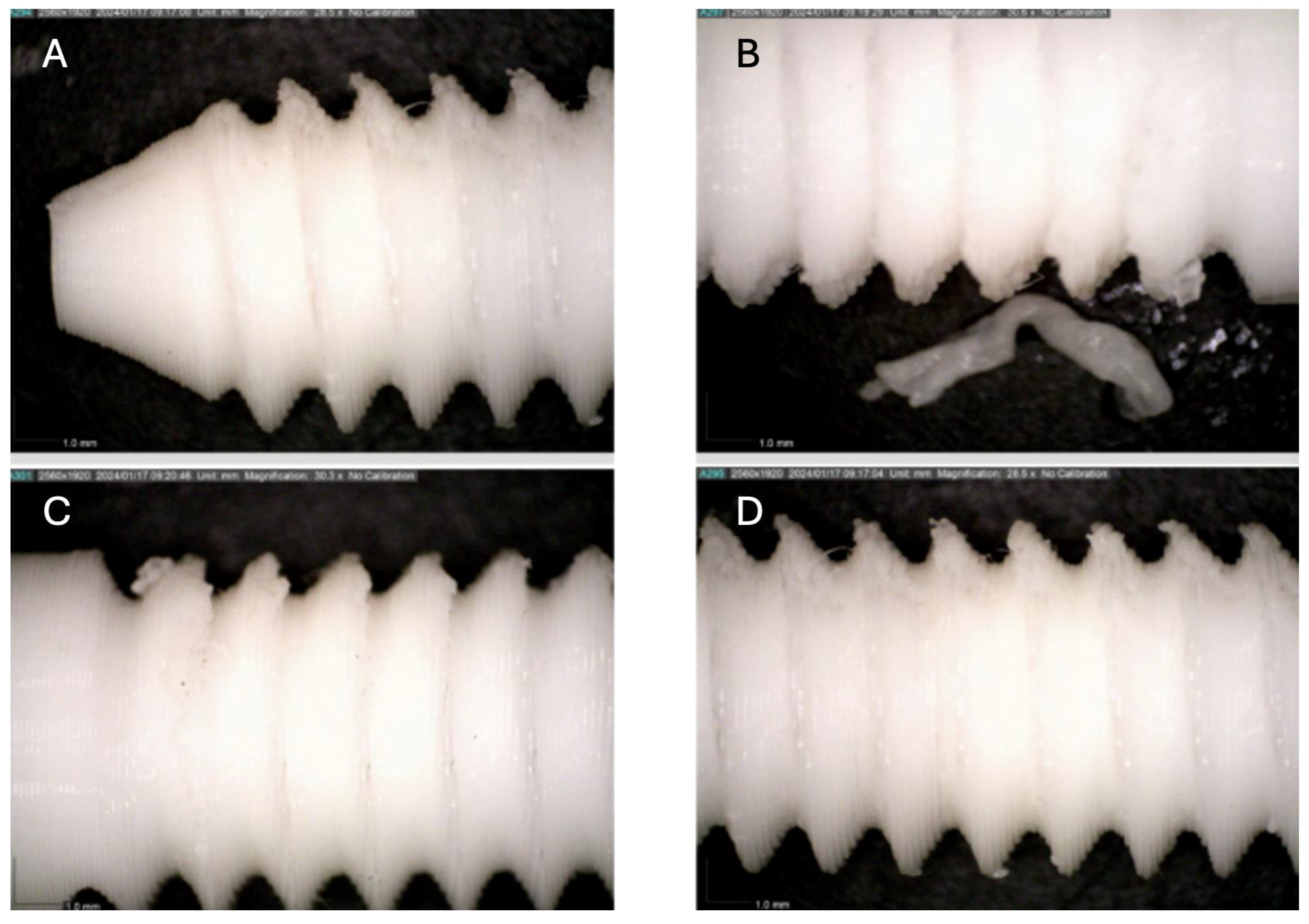 Preprints 161691 g011