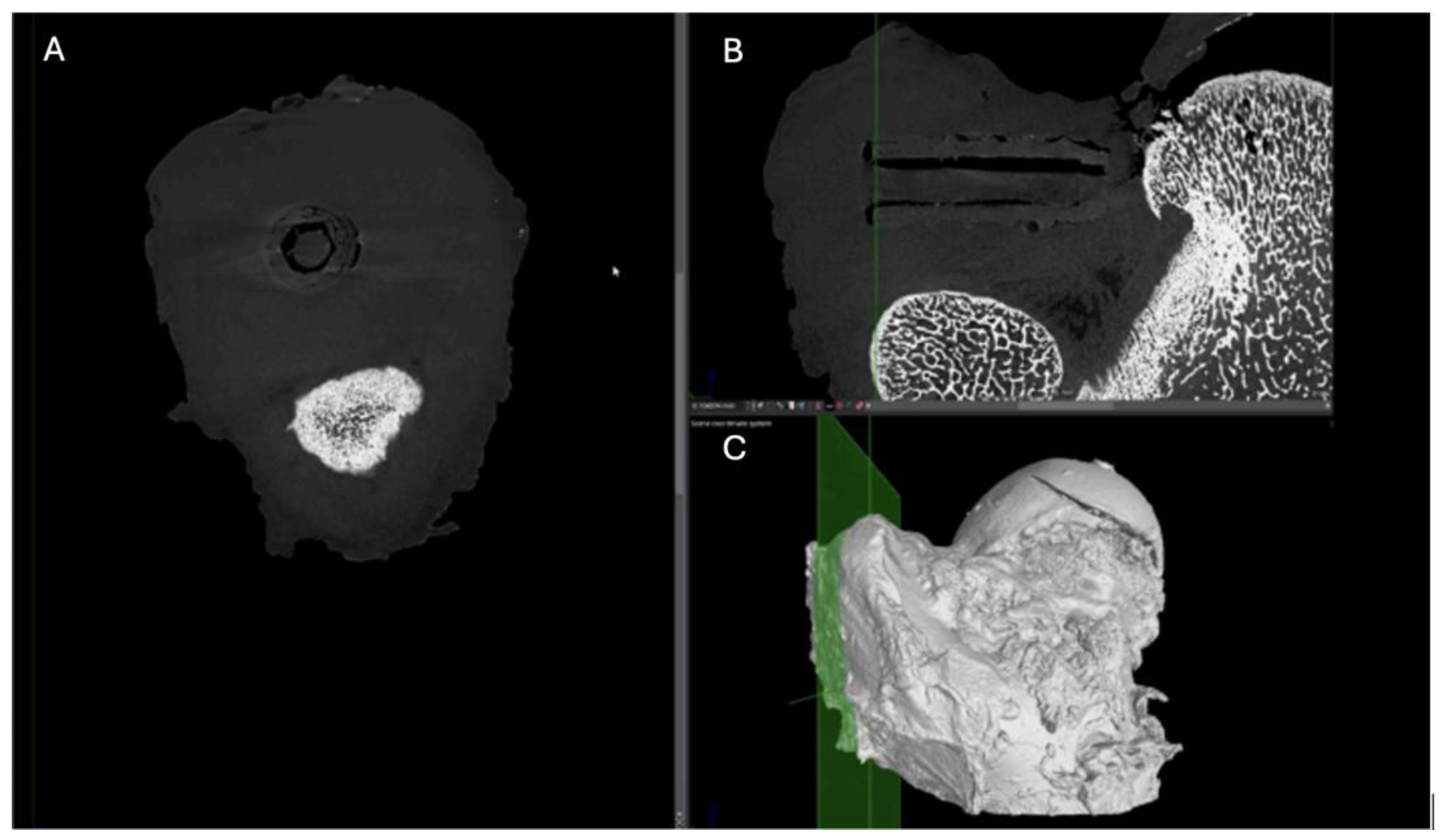 Preprints 161691 g012