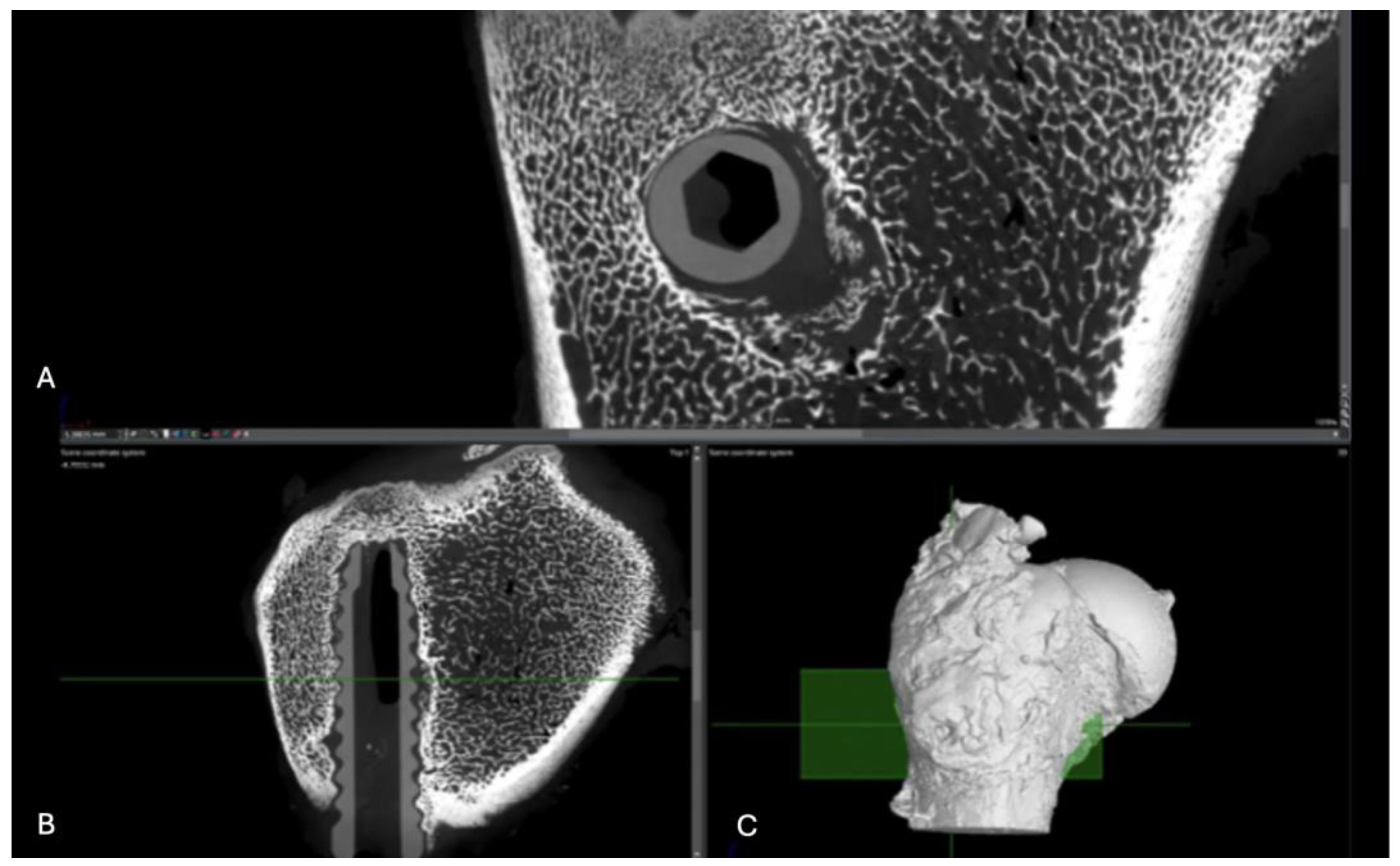 Preprints 161691 g013