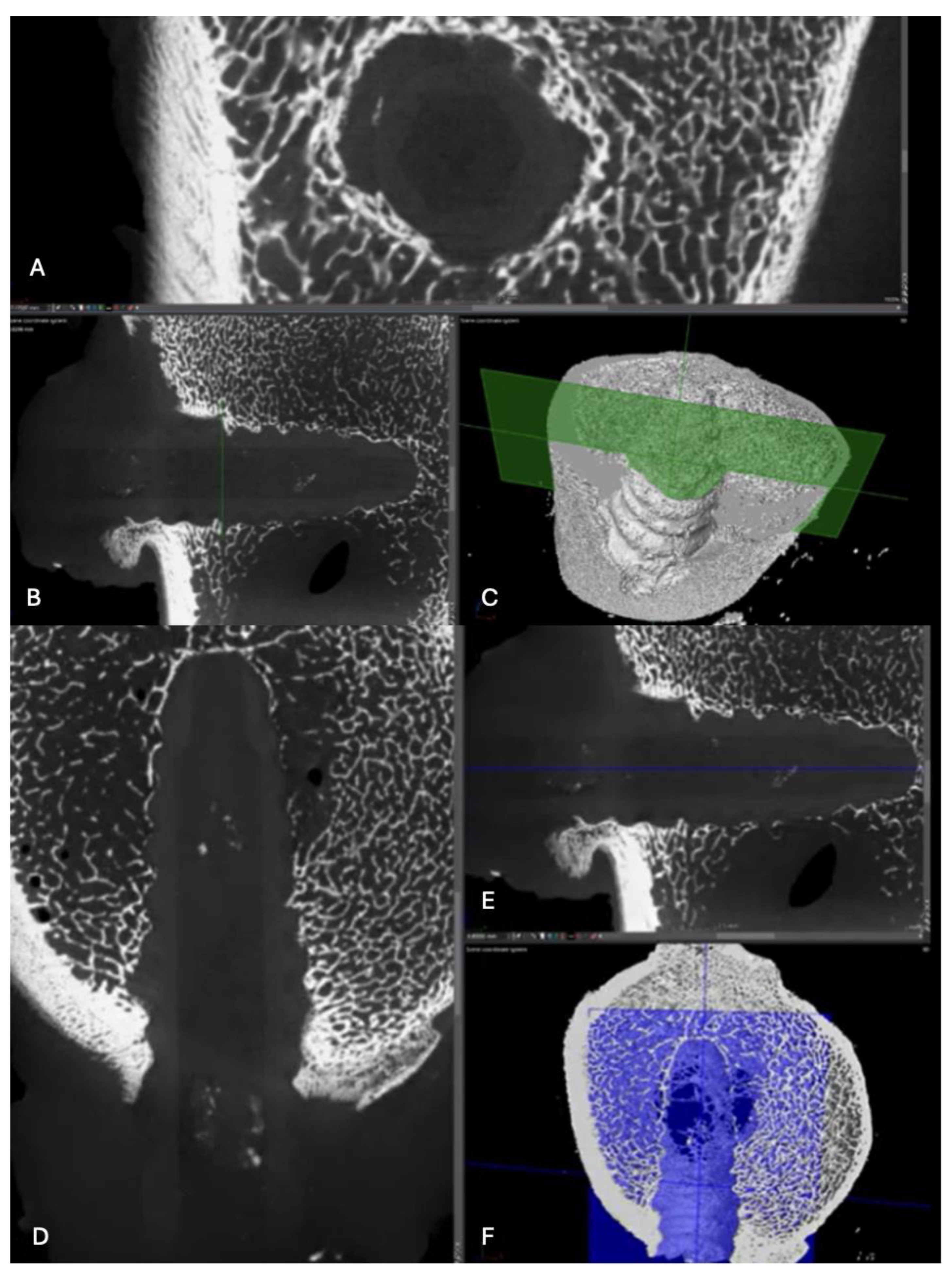 Preprints 161691 g014