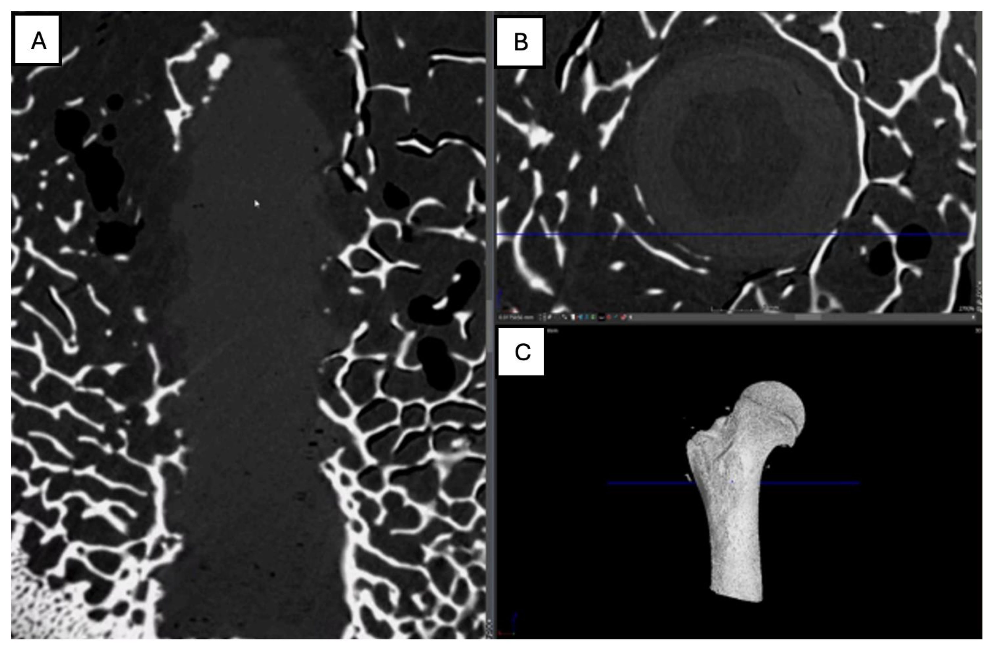 Preprints 161691 g015