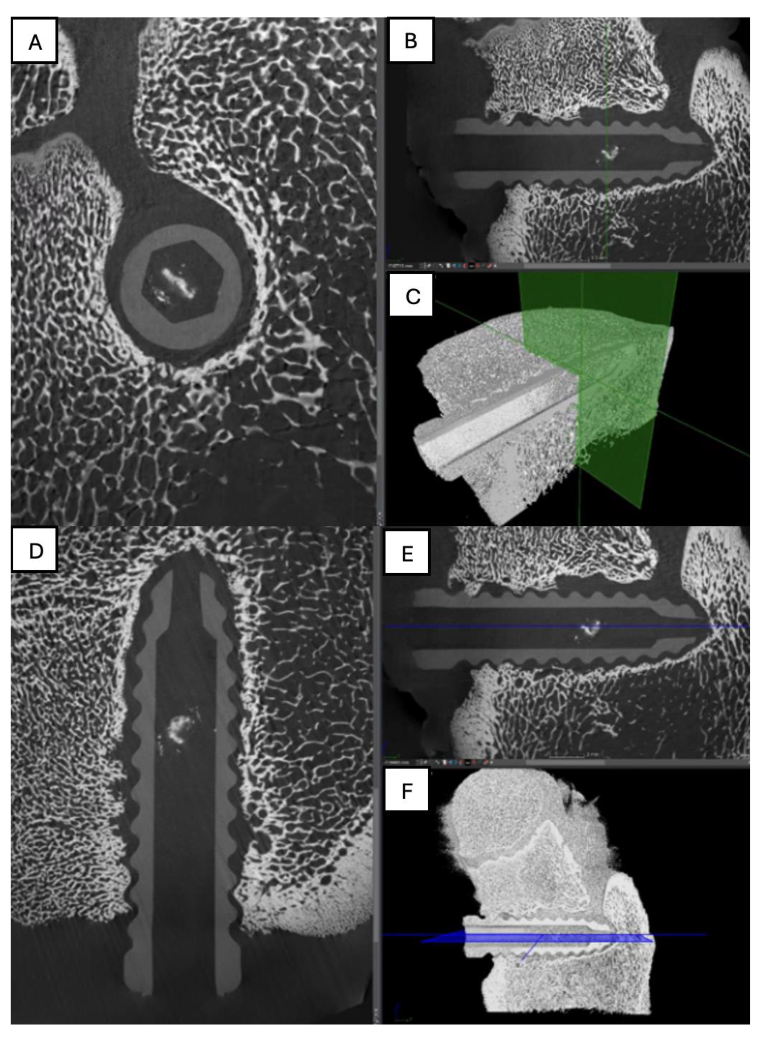 Preprints 161691 g016