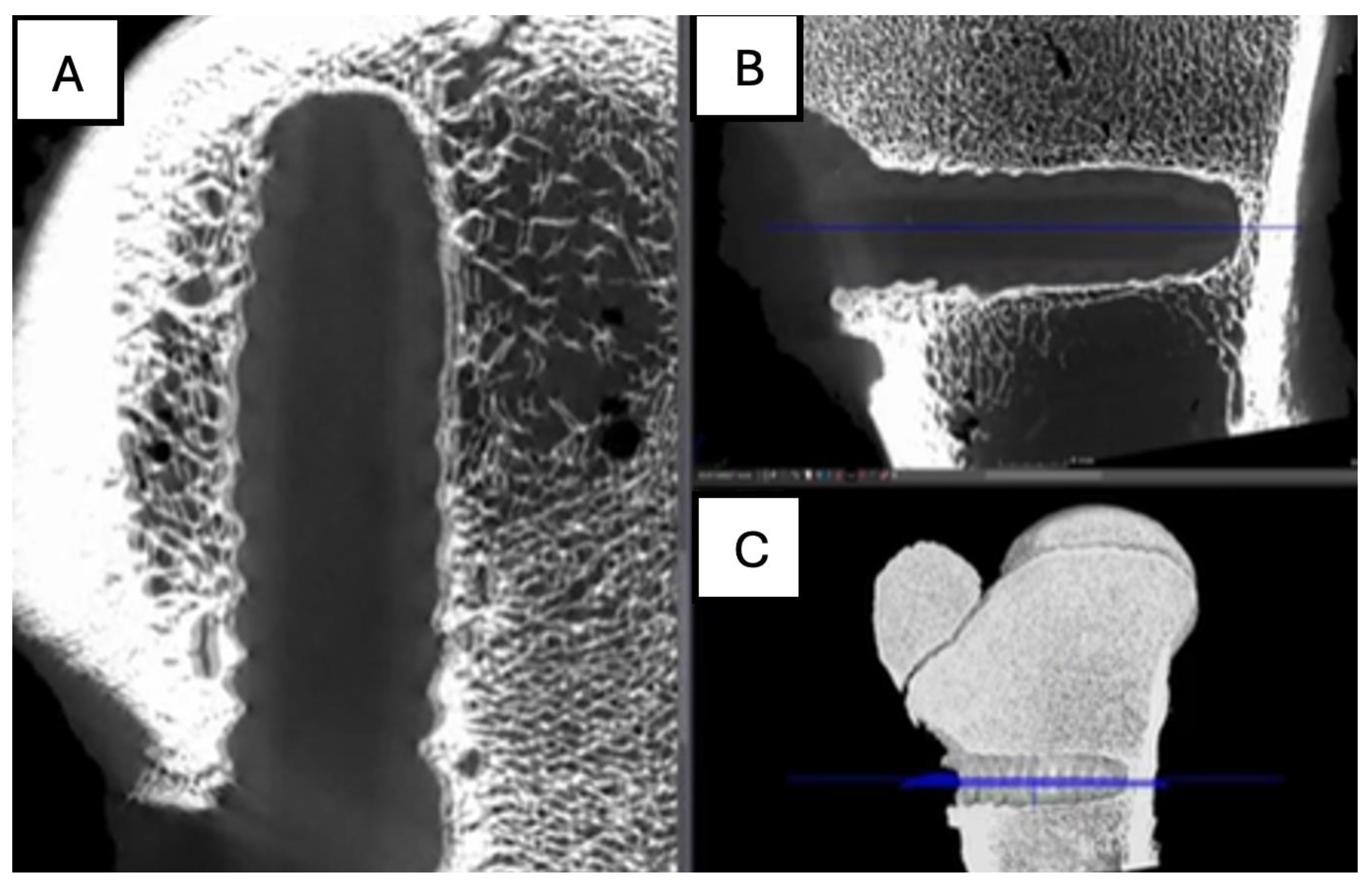 Preprints 161691 g017