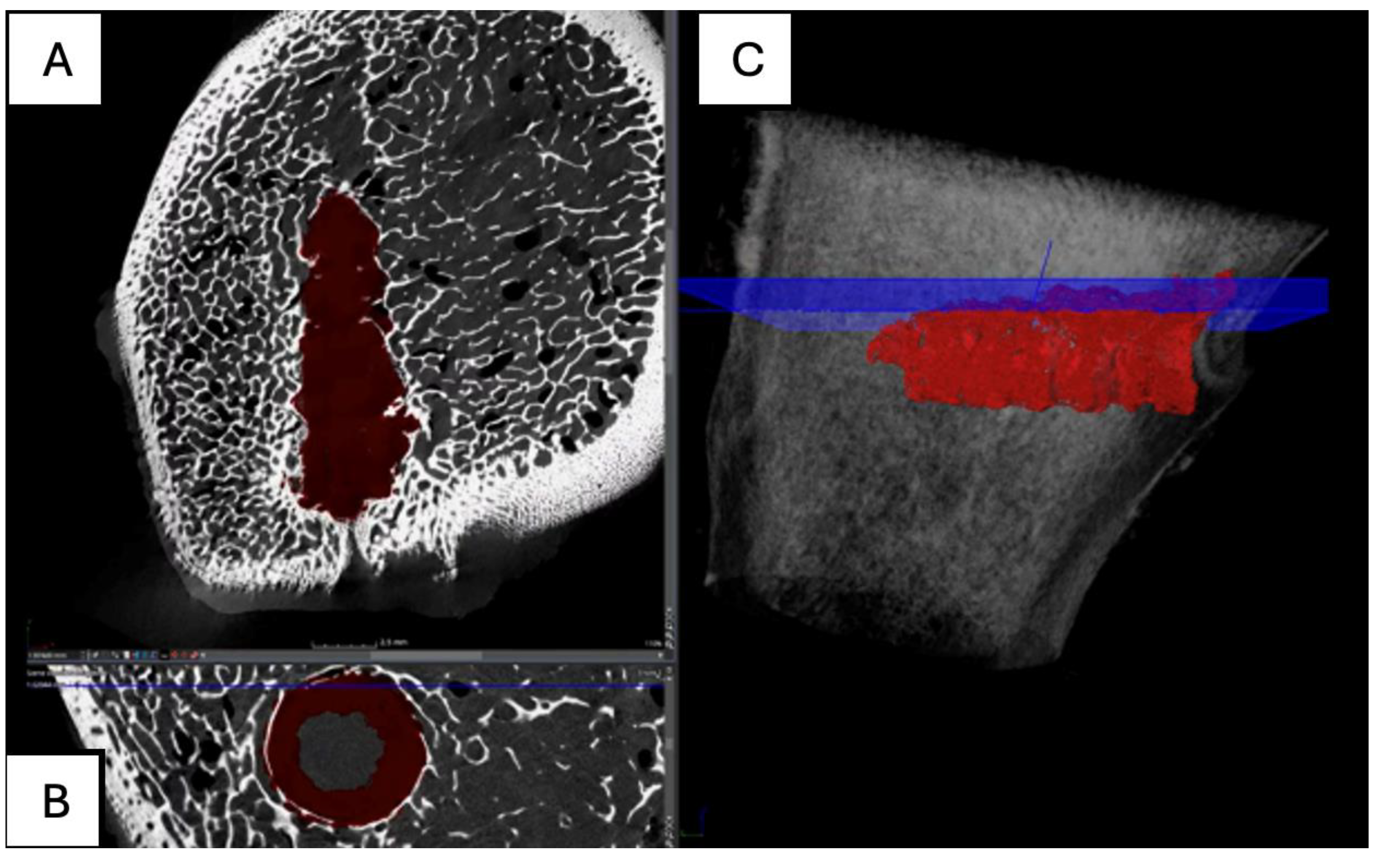 Preprints 161691 g018