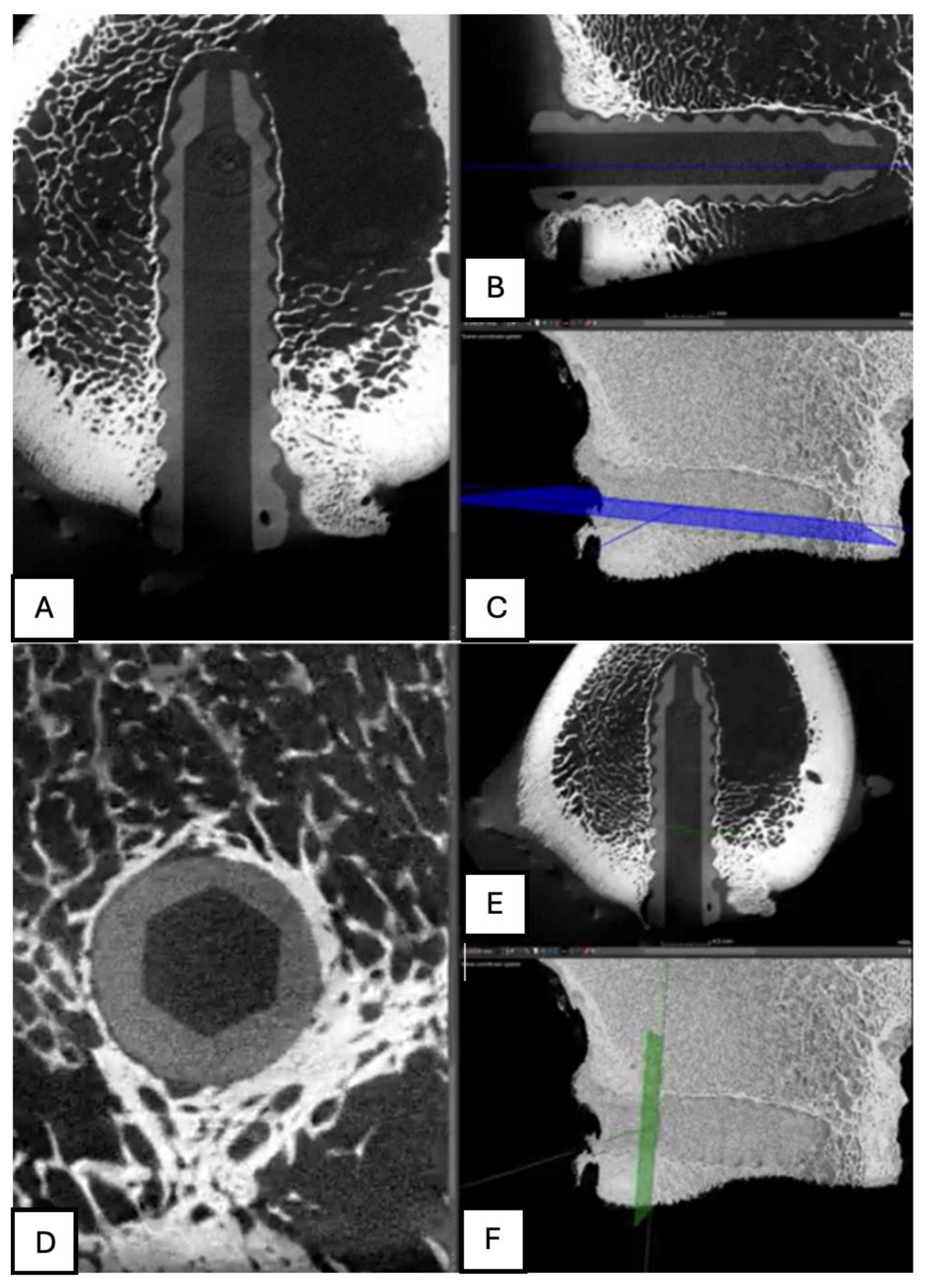 Preprints 161691 g019