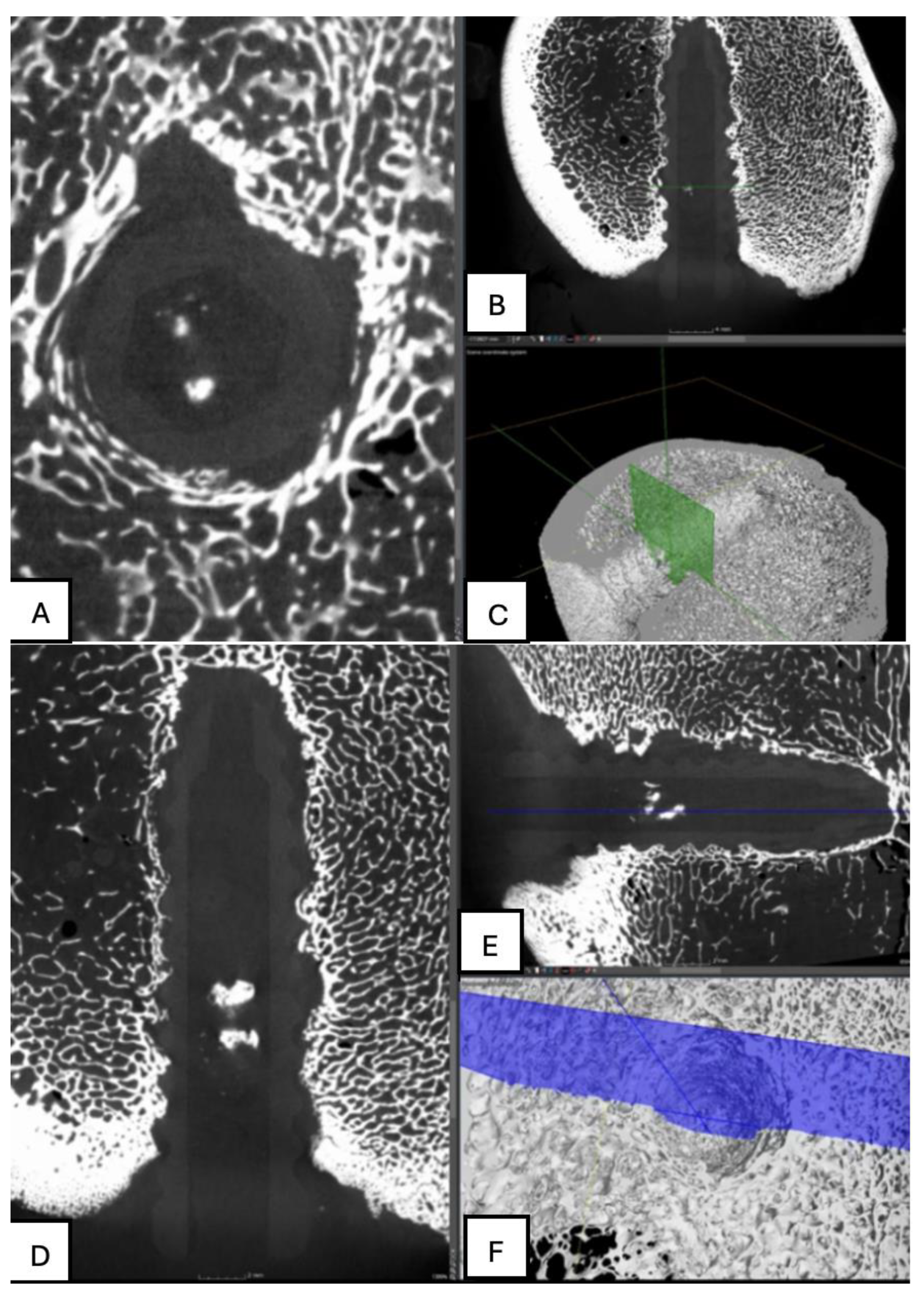 Preprints 161691 g020