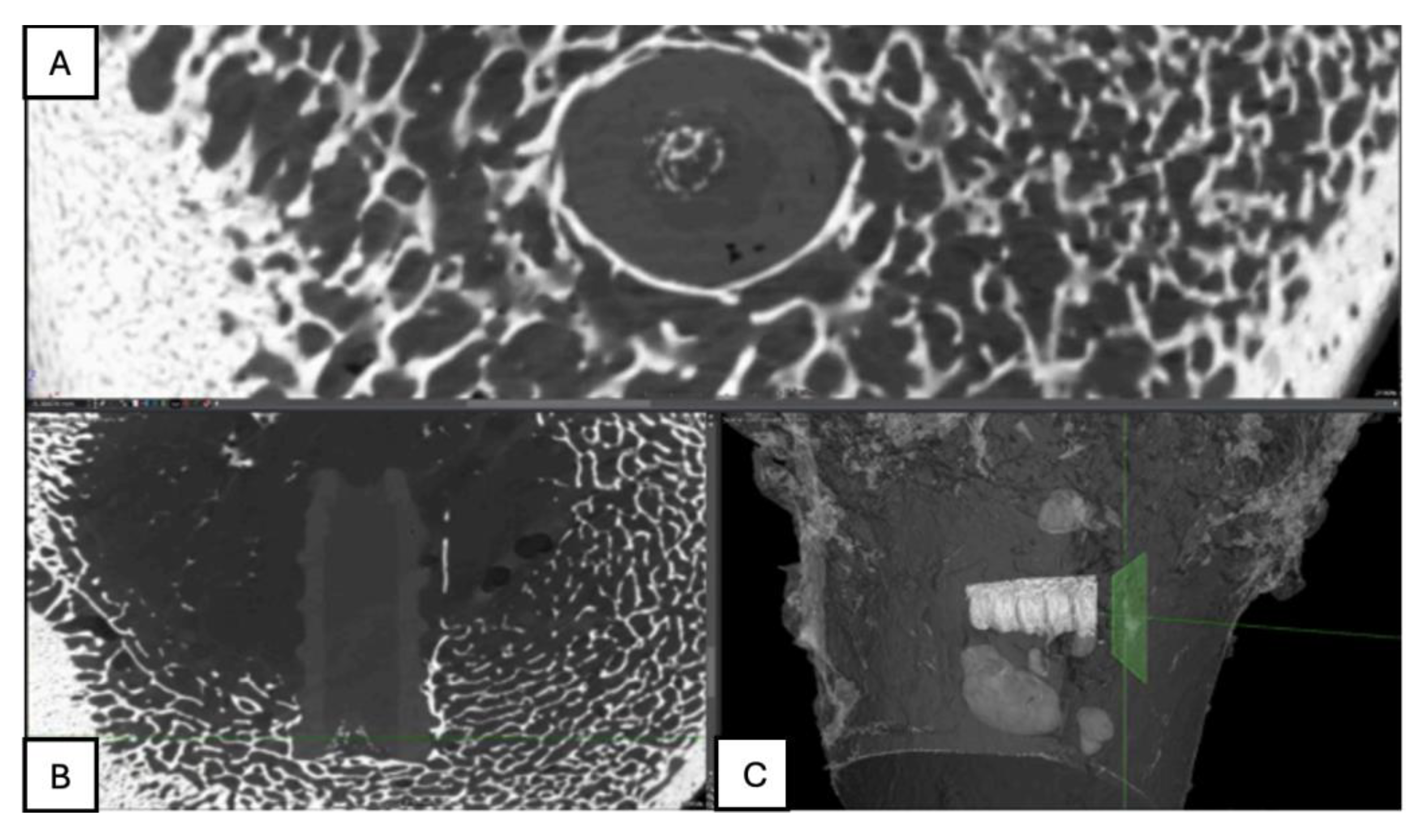 Preprints 161691 g021