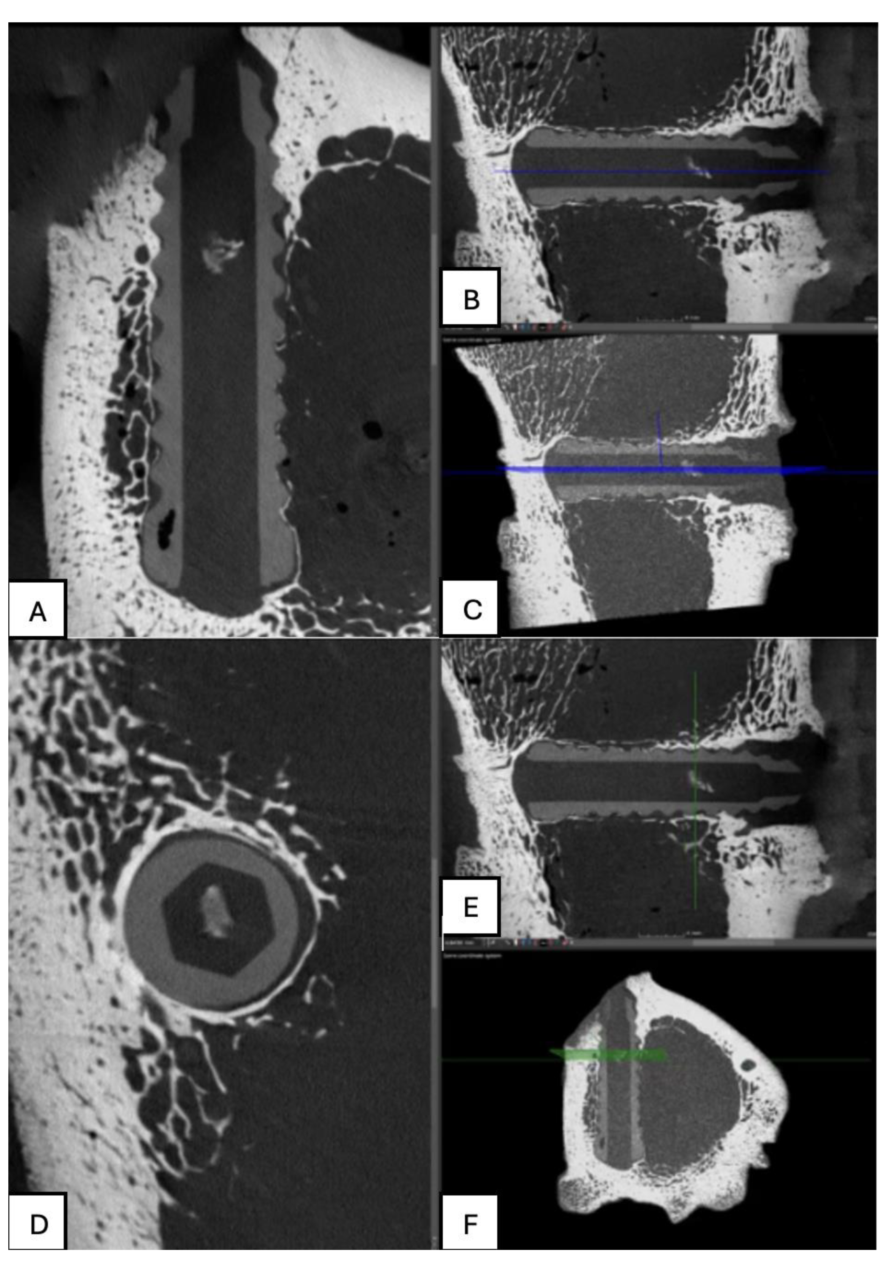 Preprints 161691 g023