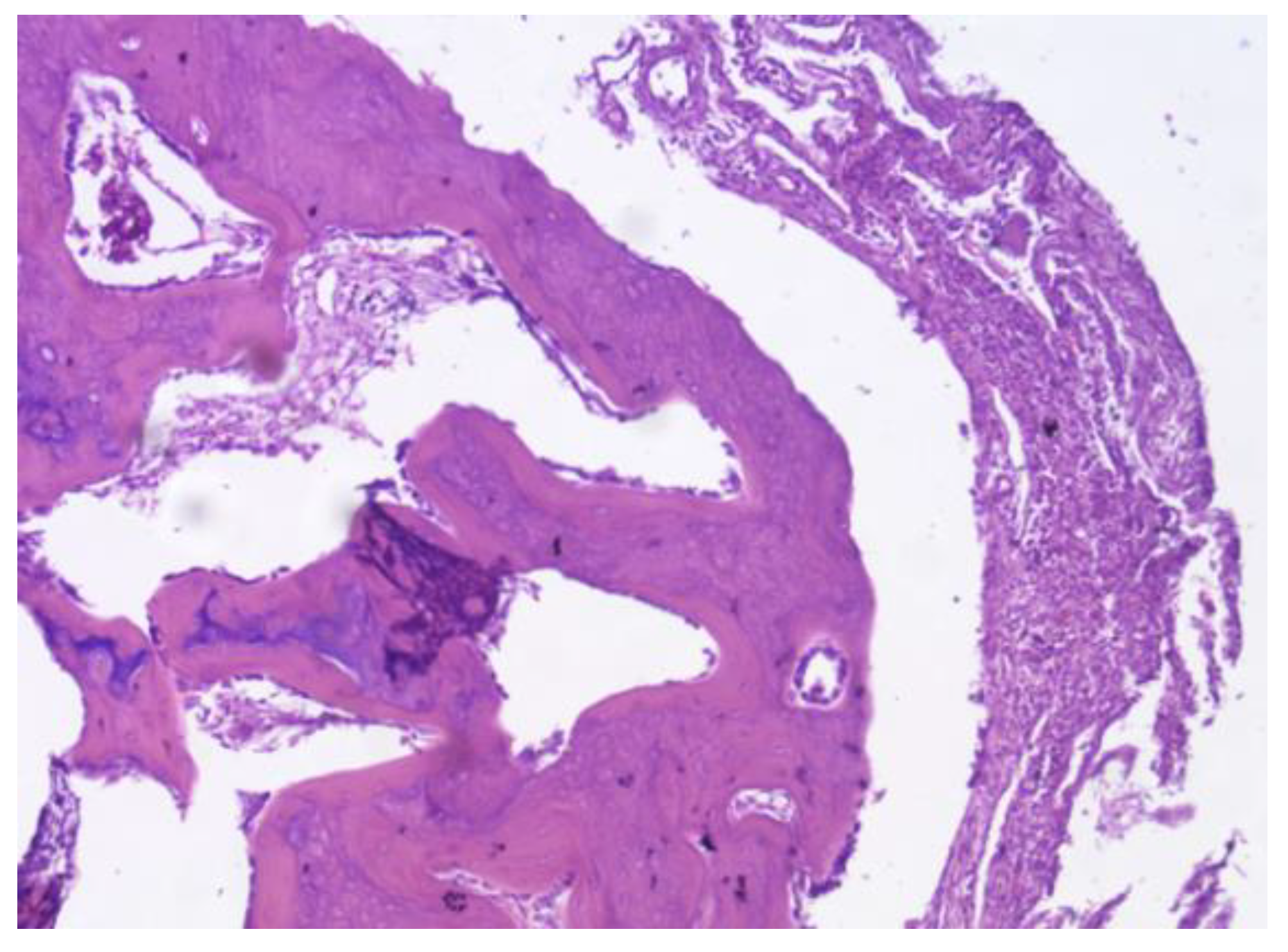 Preprints 161691 g026