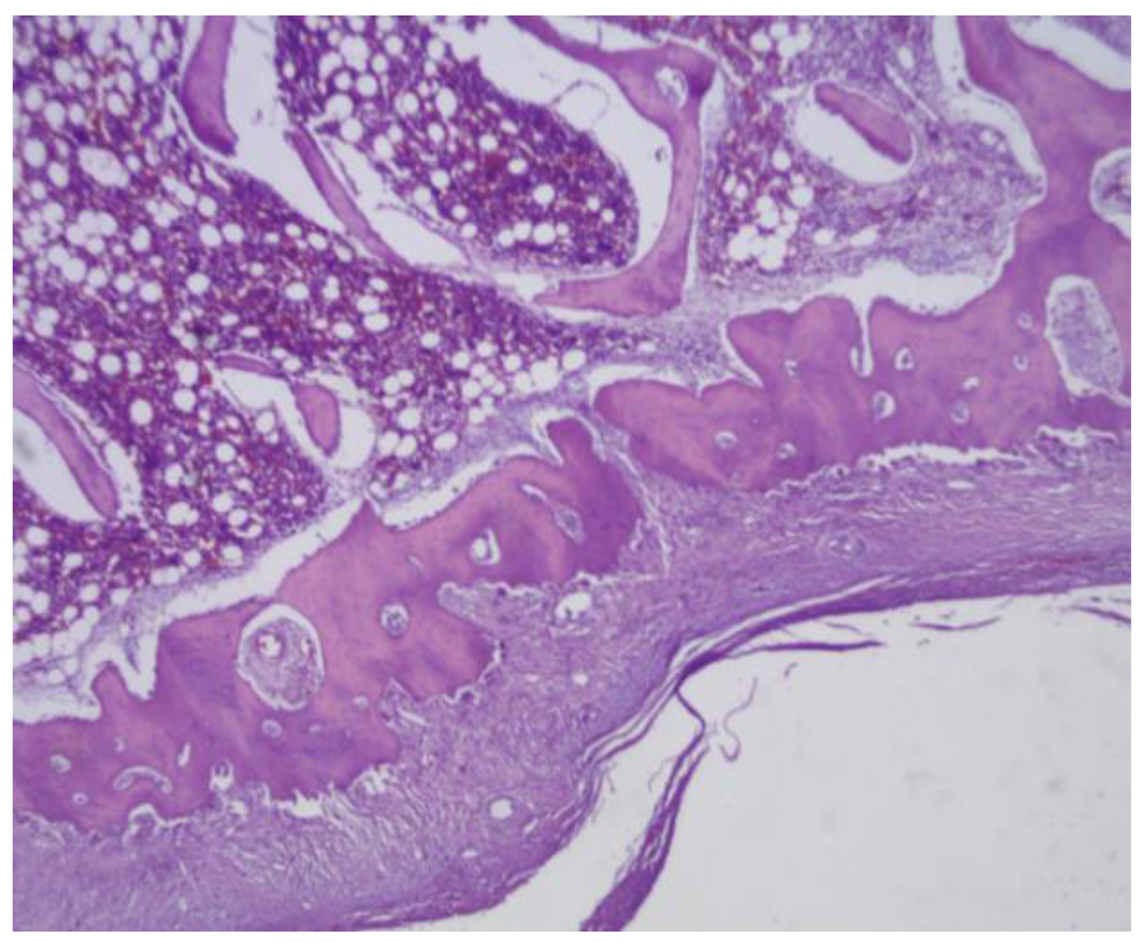 Preprints 161691 g028