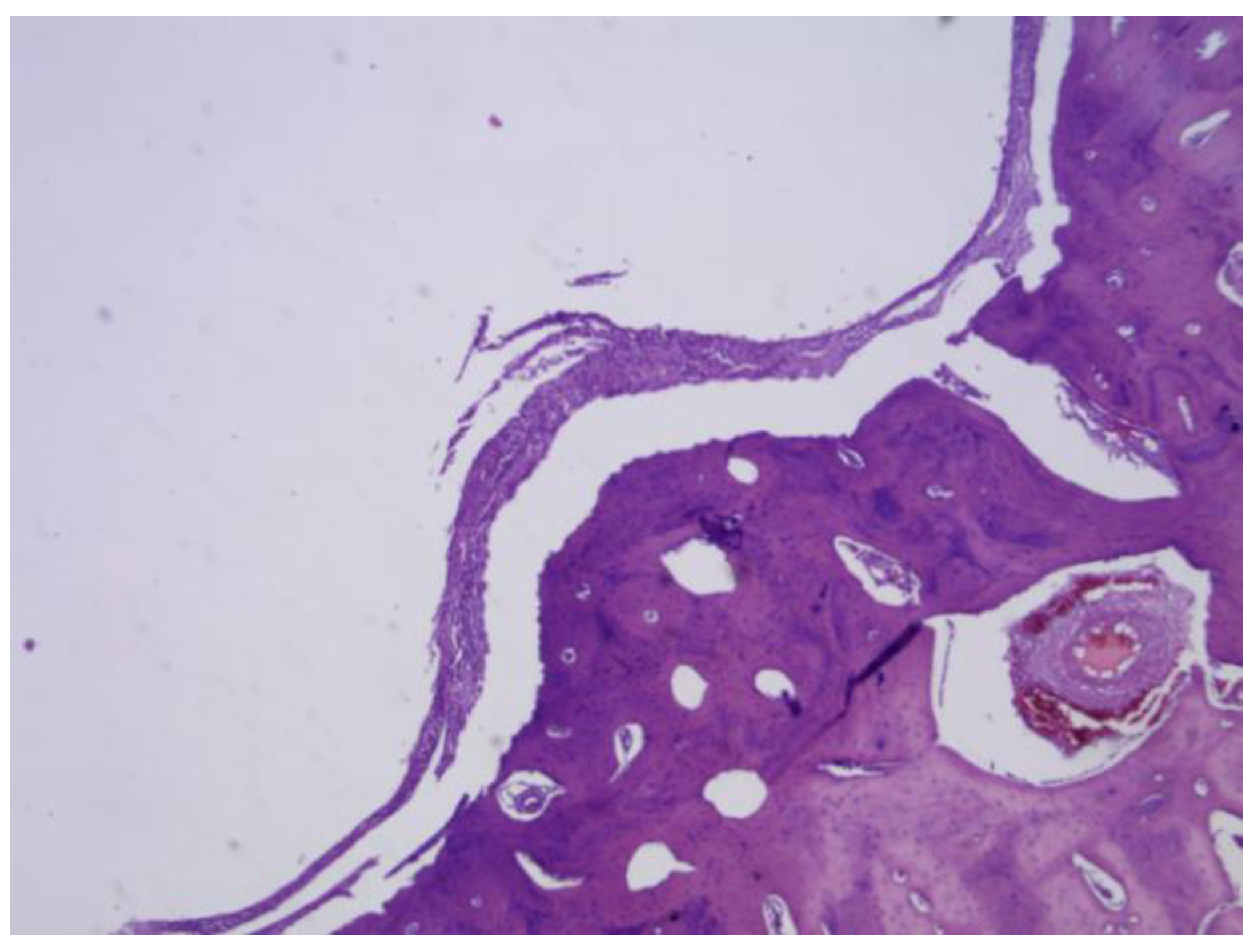 Preprints 161691 g029