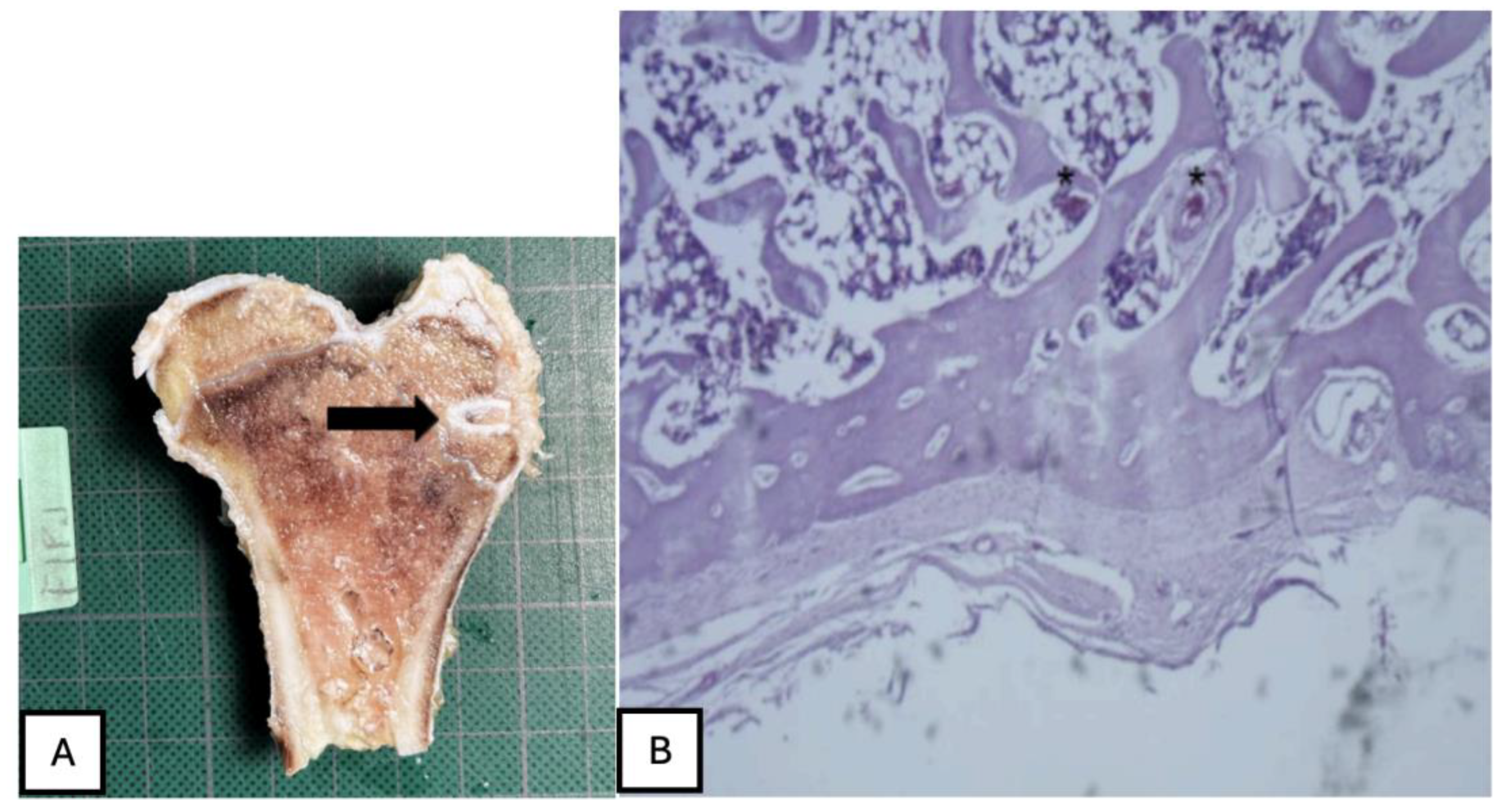 Preprints 161691 g030